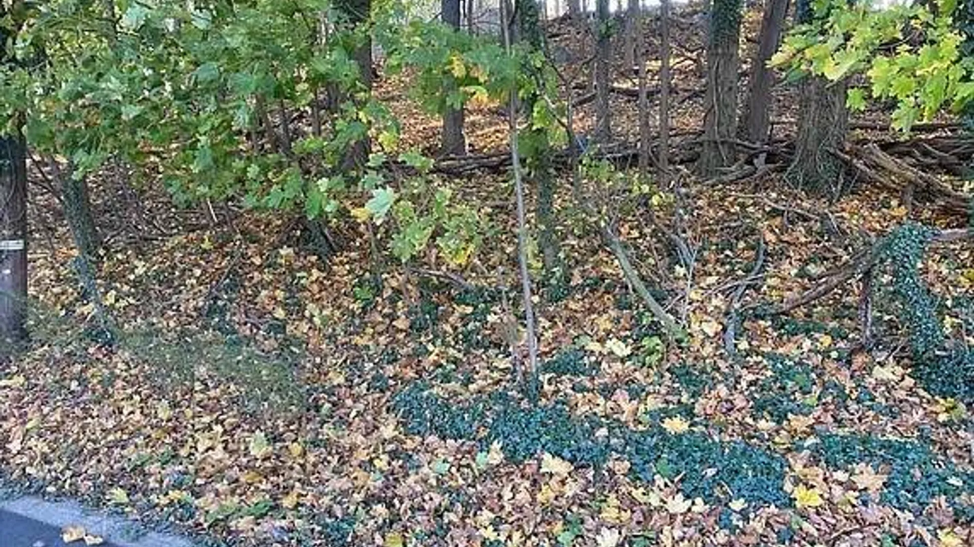 Property at 0 ASHFORD AVE, Dobbs Ferry, NY 10522 7