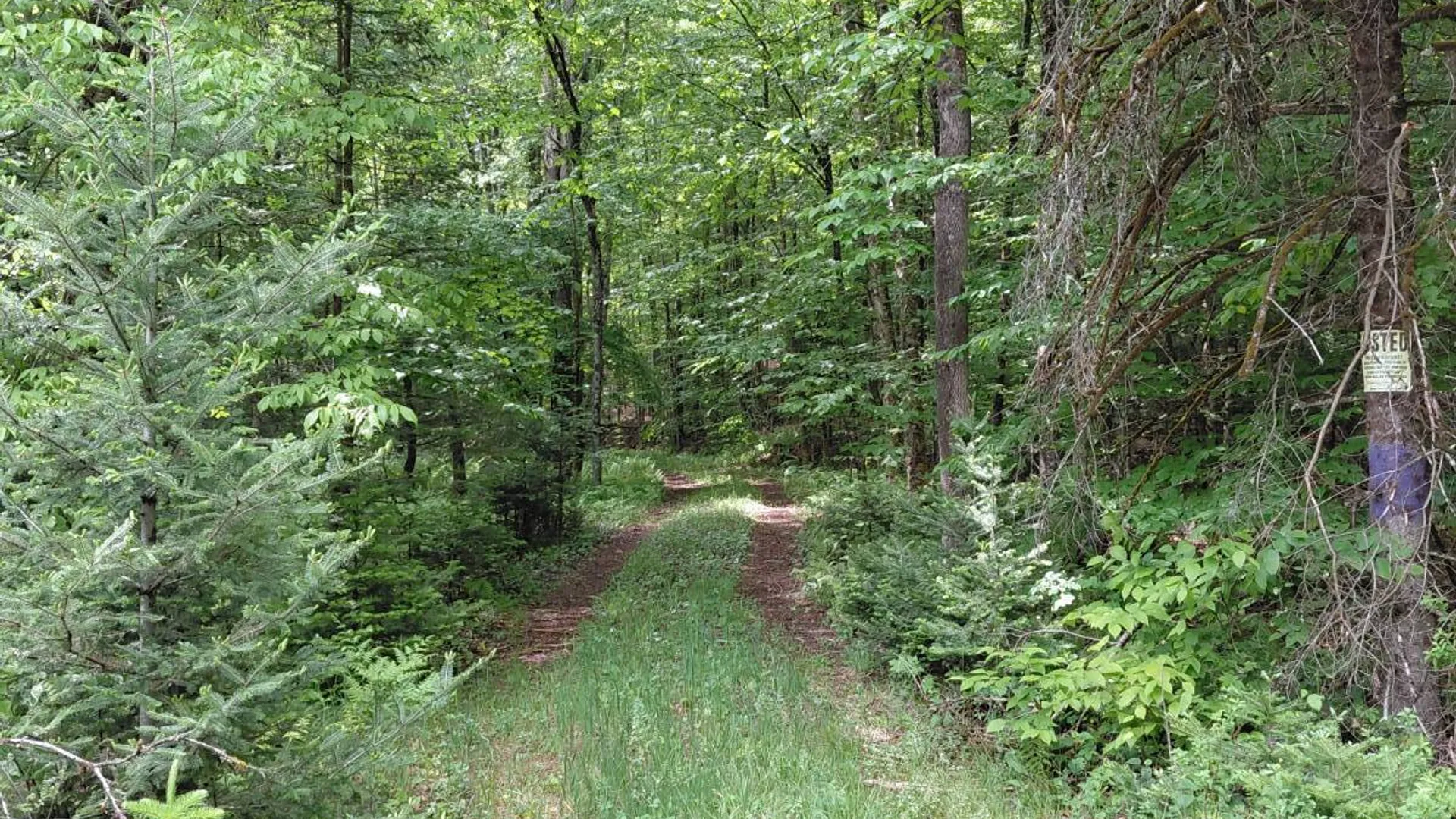 Property at L 44.5 Piseco Road, Stratford, NY 13470 5