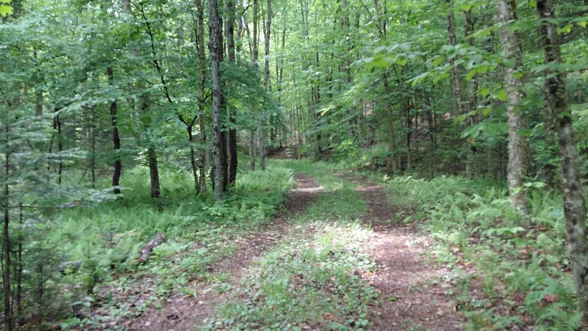 Property at L 44.5 Piseco Road, Stratford, NY 13470 7