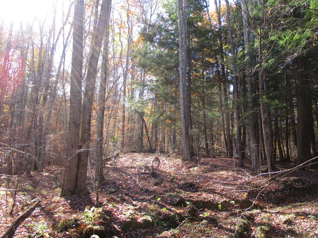 Property at Gordon Brook Road, Scio, NY 14880