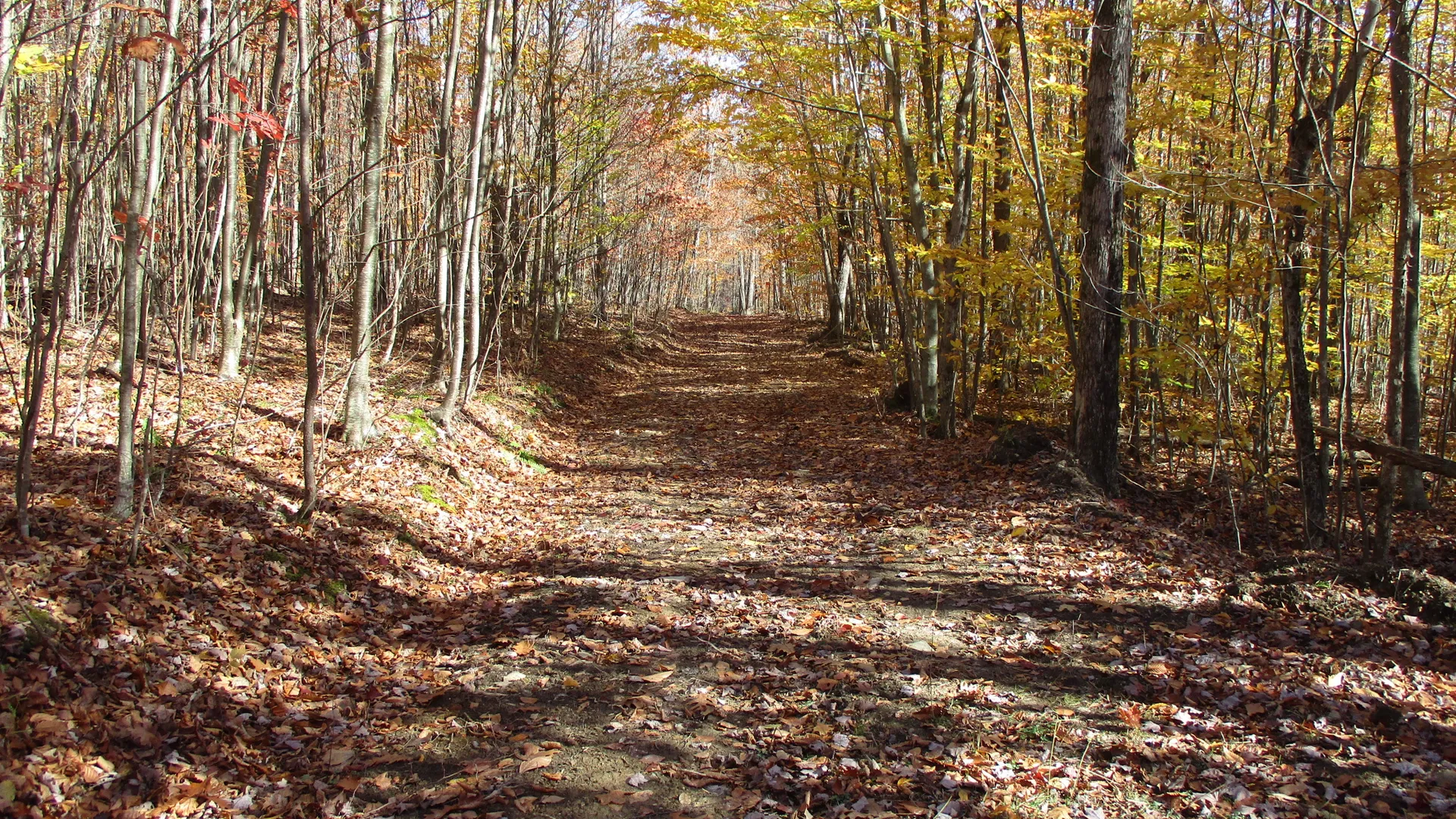 Property at Gordon Brook Road, Scio, NY 14880 5