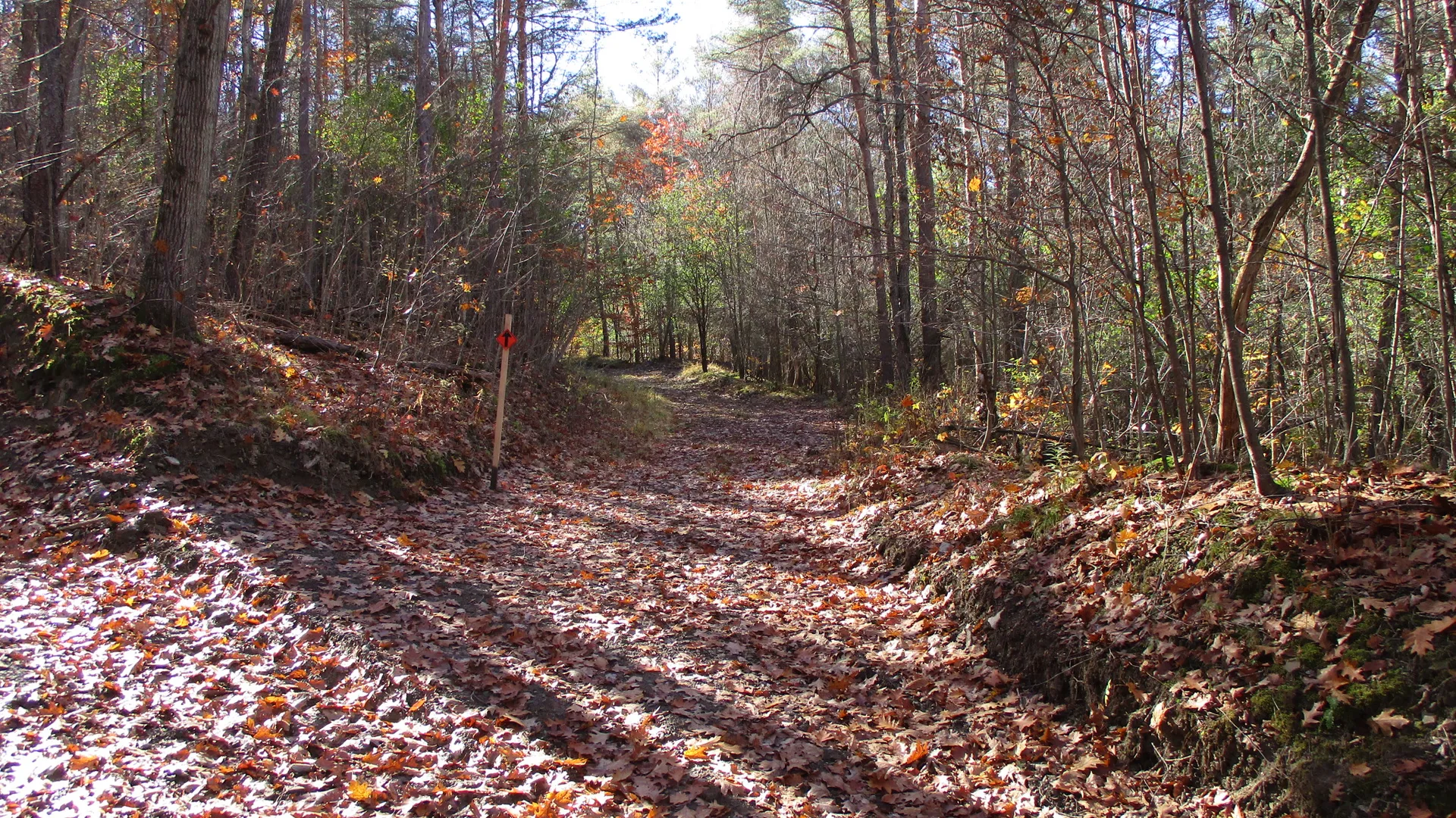 Property at Gordon Brook Road, Scio, NY 14880 9