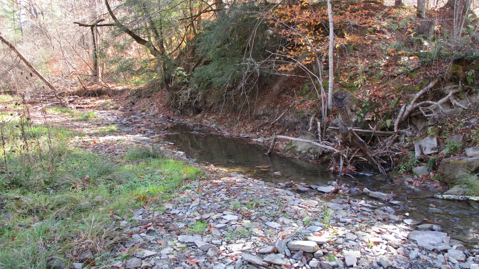 Property at Gordon Brook Road, Scio, NY 14880 13