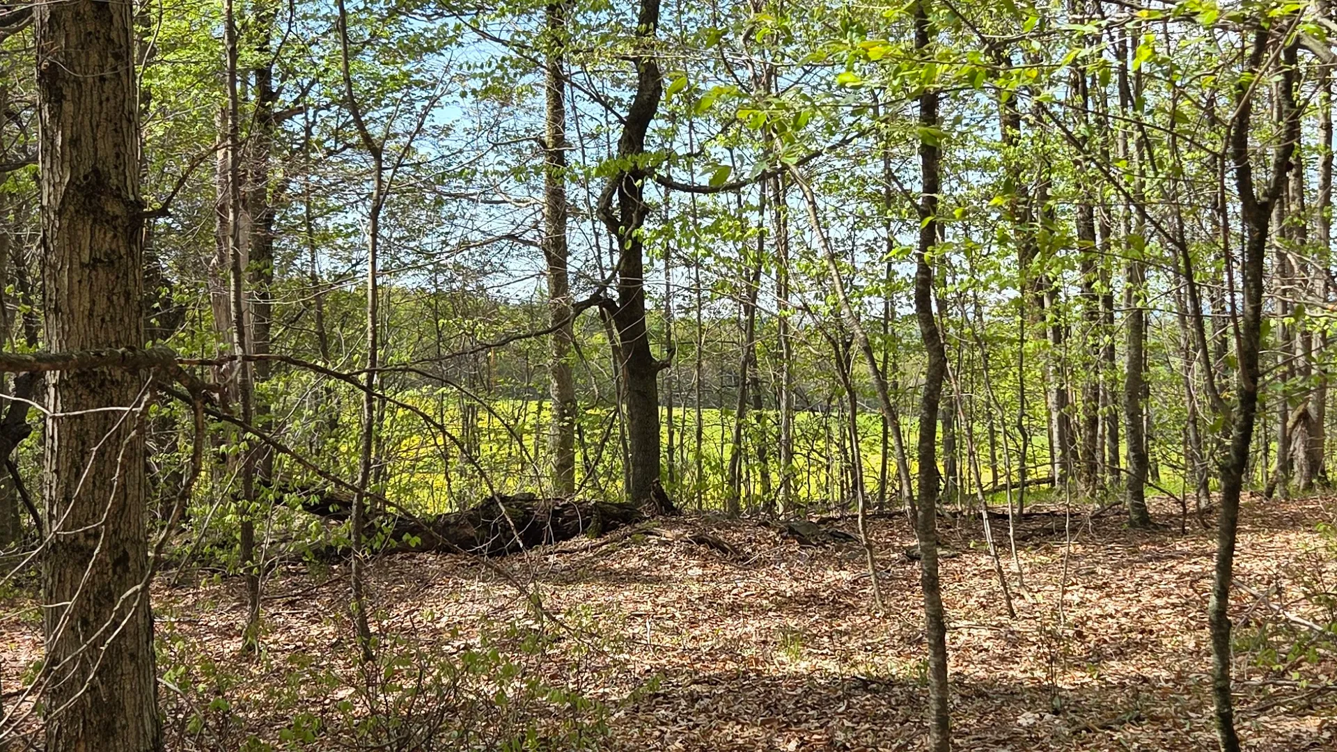 Property at Wratten Road, Brookfield, NY 13355 9