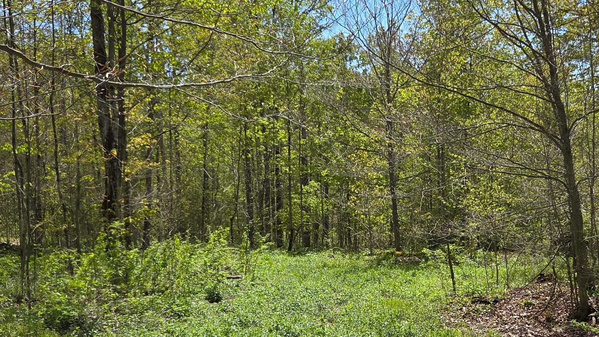 Property at Wratten Road, Brookfield, NY 13355 11