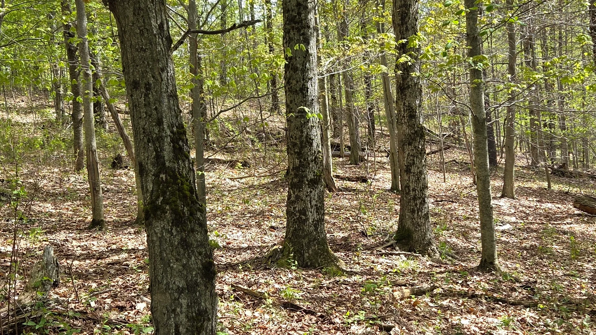 Property at Wratten Road, Brookfield, NY 13355 23