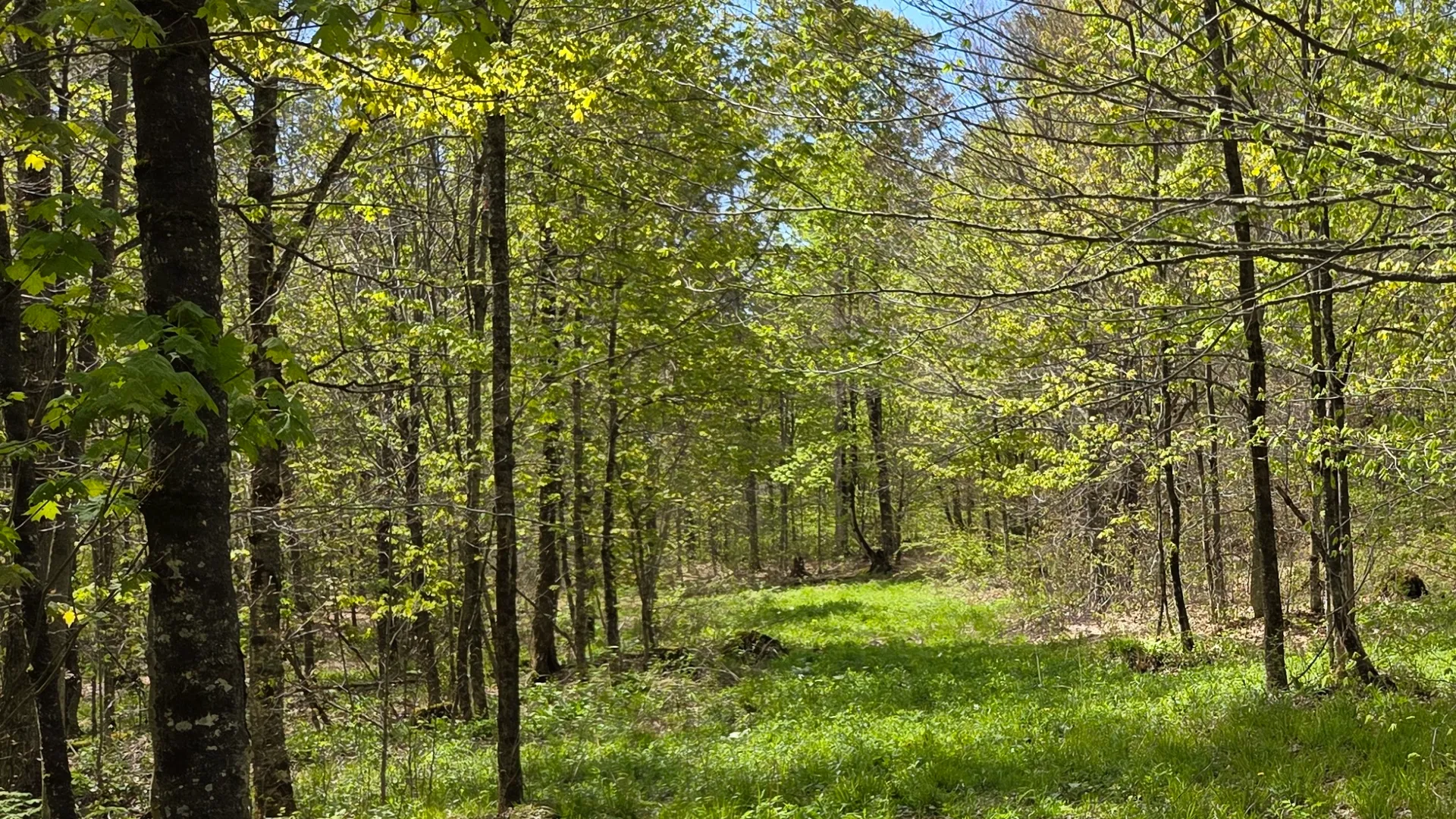 Property at Wratten Road, Brookfield, NY 13355 25