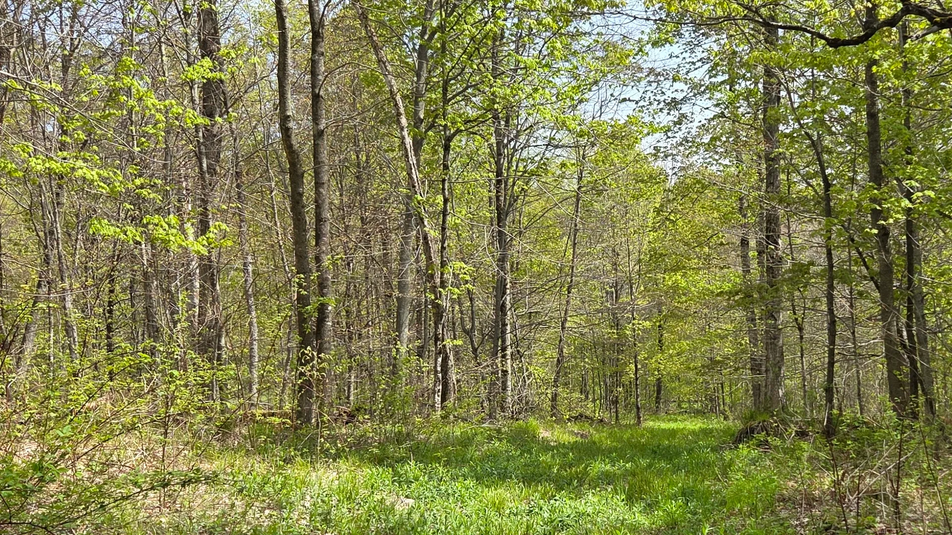 Property at Wratten Road, Brookfield, NY 13355 29