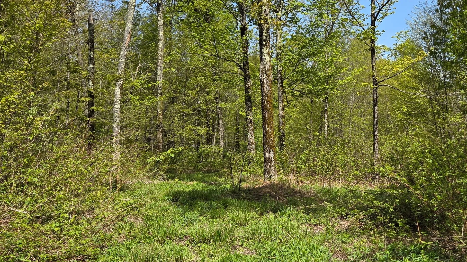 Property at Wratten Road, Brookfield, NY 13355 33