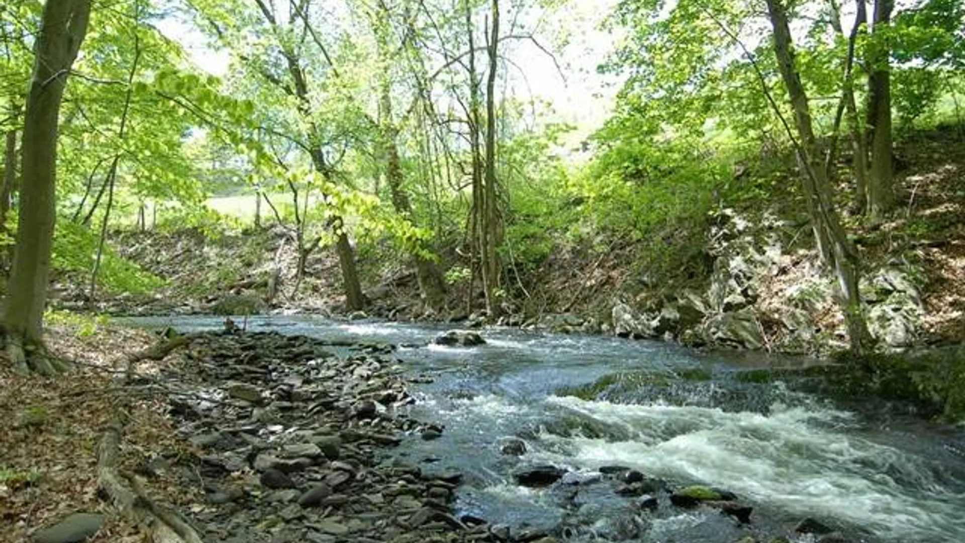 Property at 18 Plattekill Road, Marlboro, NY 12542 5