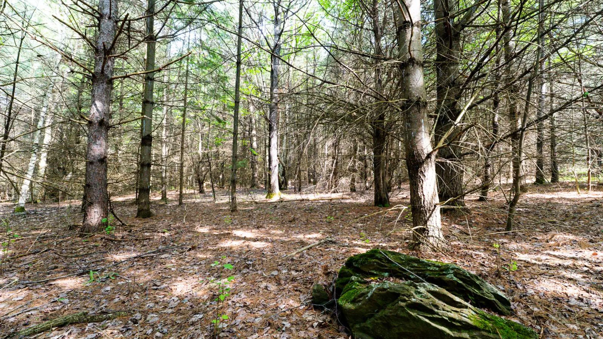 Property at 00WP3 Cr 352, Medusa, NY 12120 14