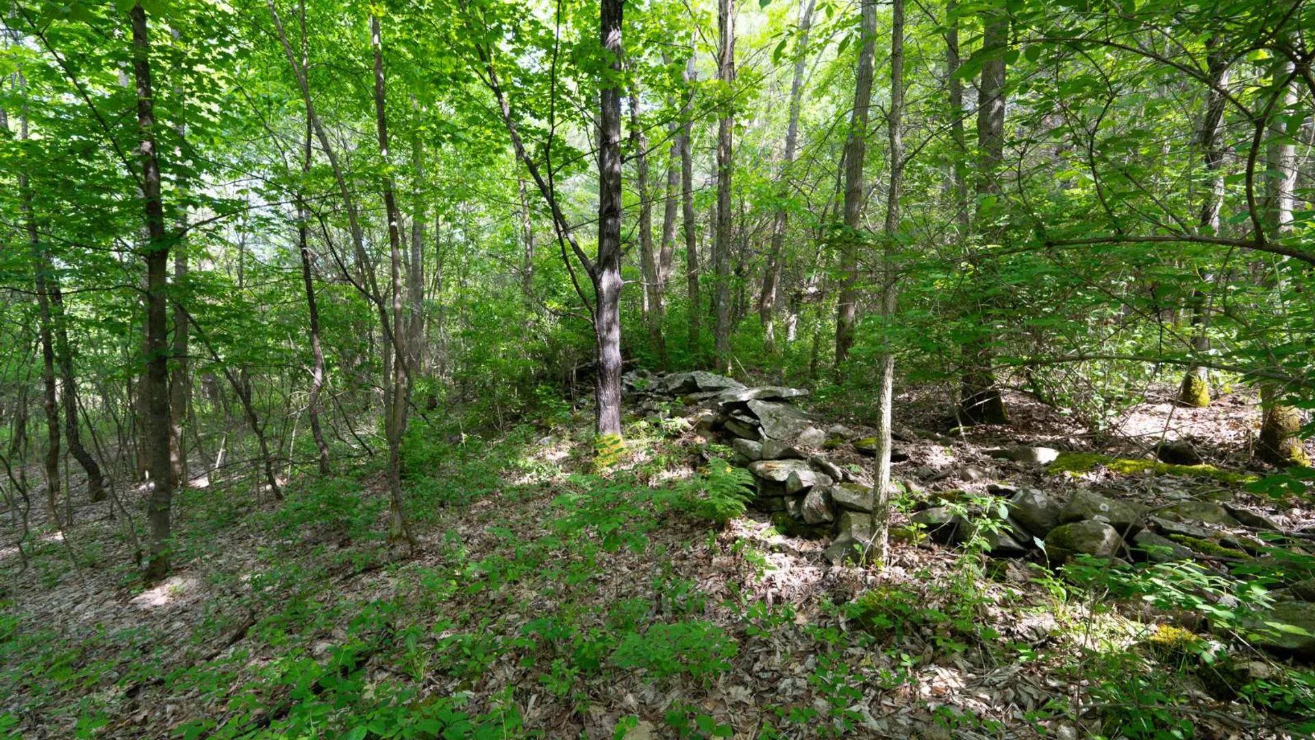 Property at 00WP3 Cr 352, Medusa, NY 12120 17