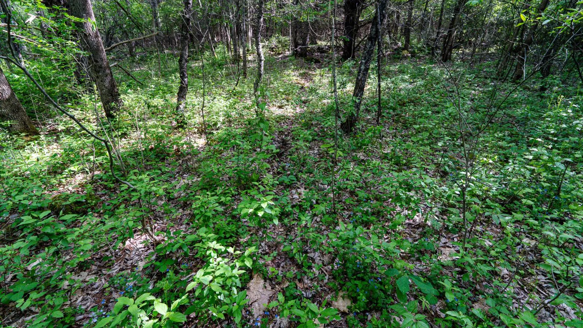 Property at 00WP3 Cr 352, Medusa, NY 12120 18