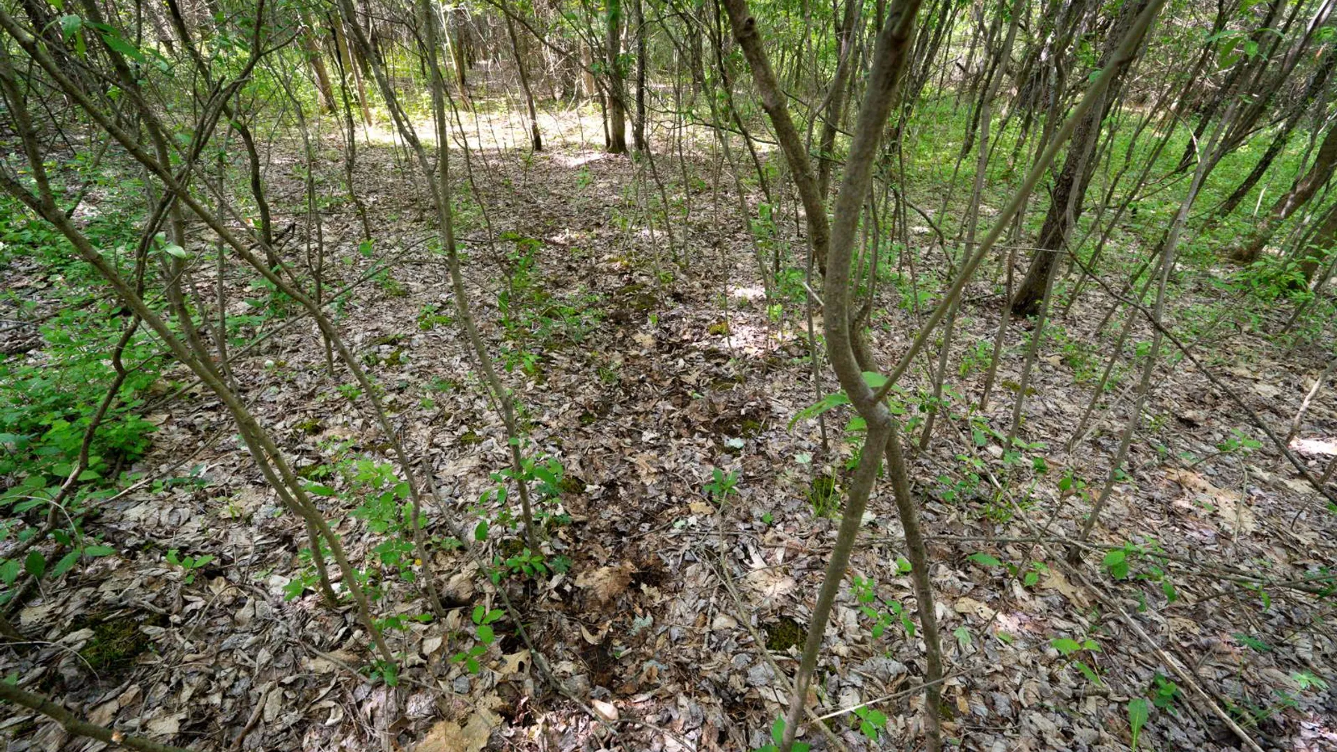 Property at 00WP3 Cr 352, Medusa, NY 12120 19