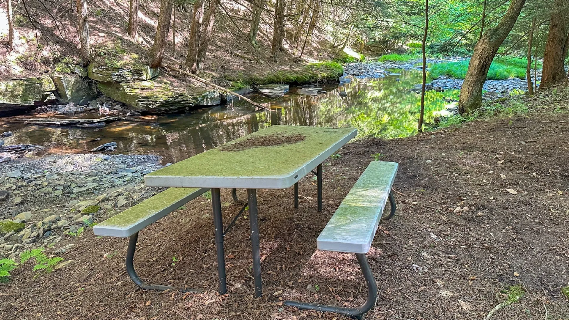 Property at 1040 NYS Route 41, Deposit, NY 13754 12