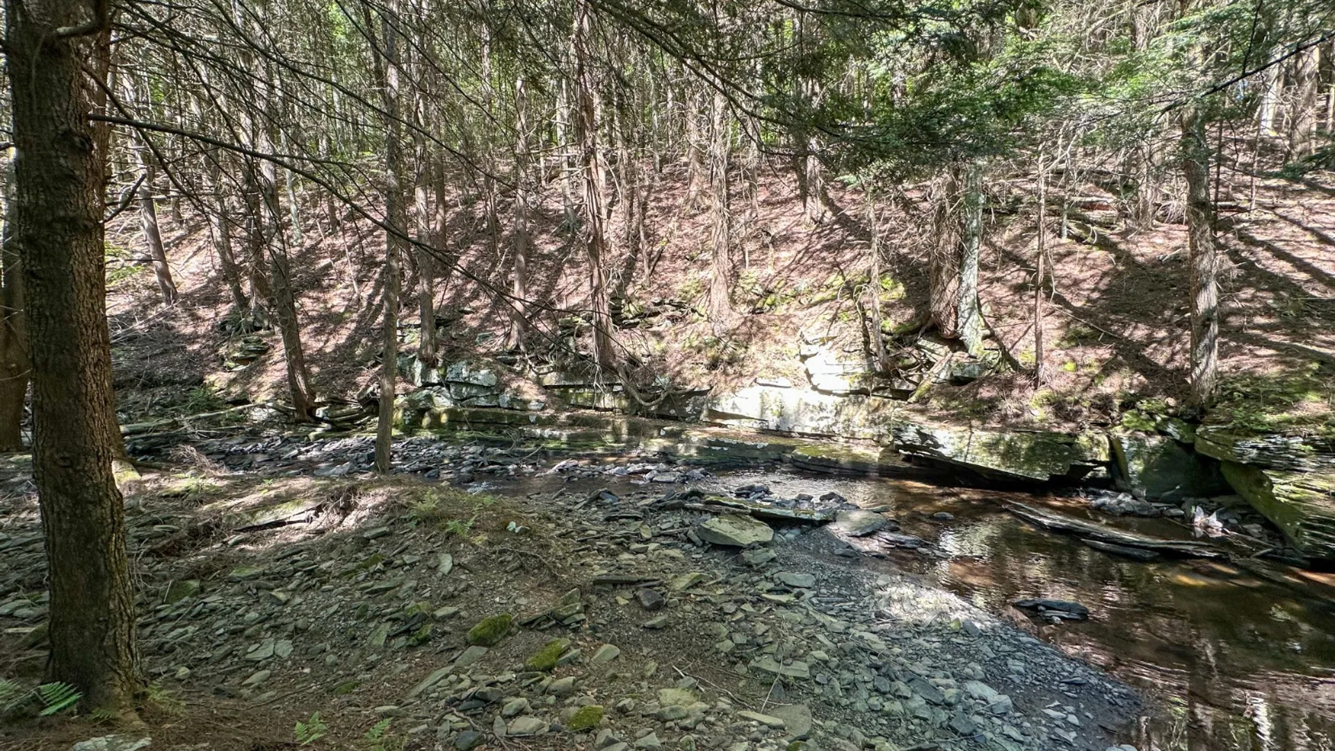 Property at 1040 NYS Route 41, Deposit, NY 13754 13