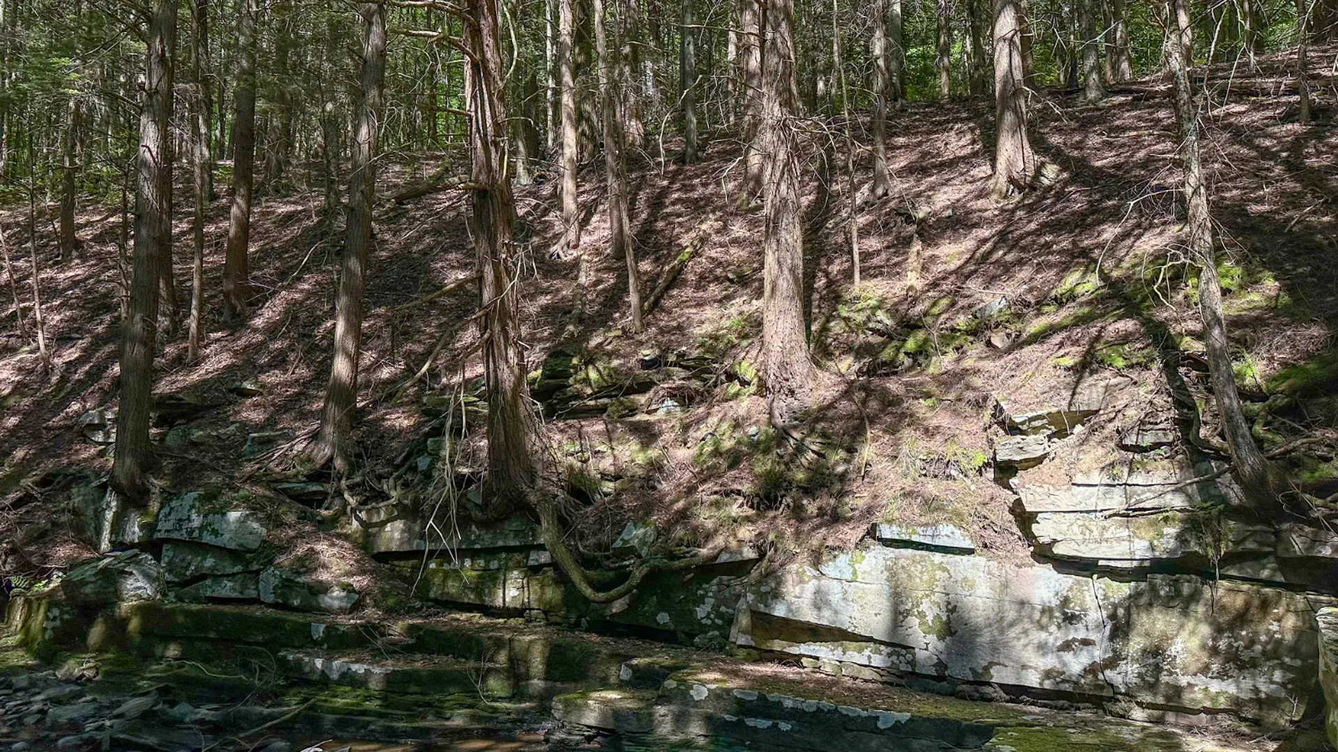 Property at 1040 NYS Route 41, Deposit, NY 13754 14