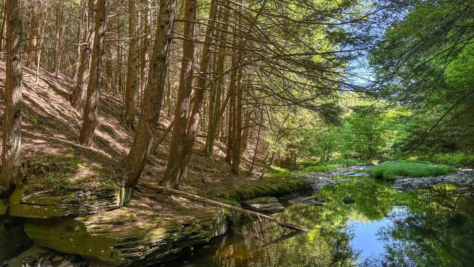 Property at 1040 NYS Route 41, Deposit, NY 13754 15