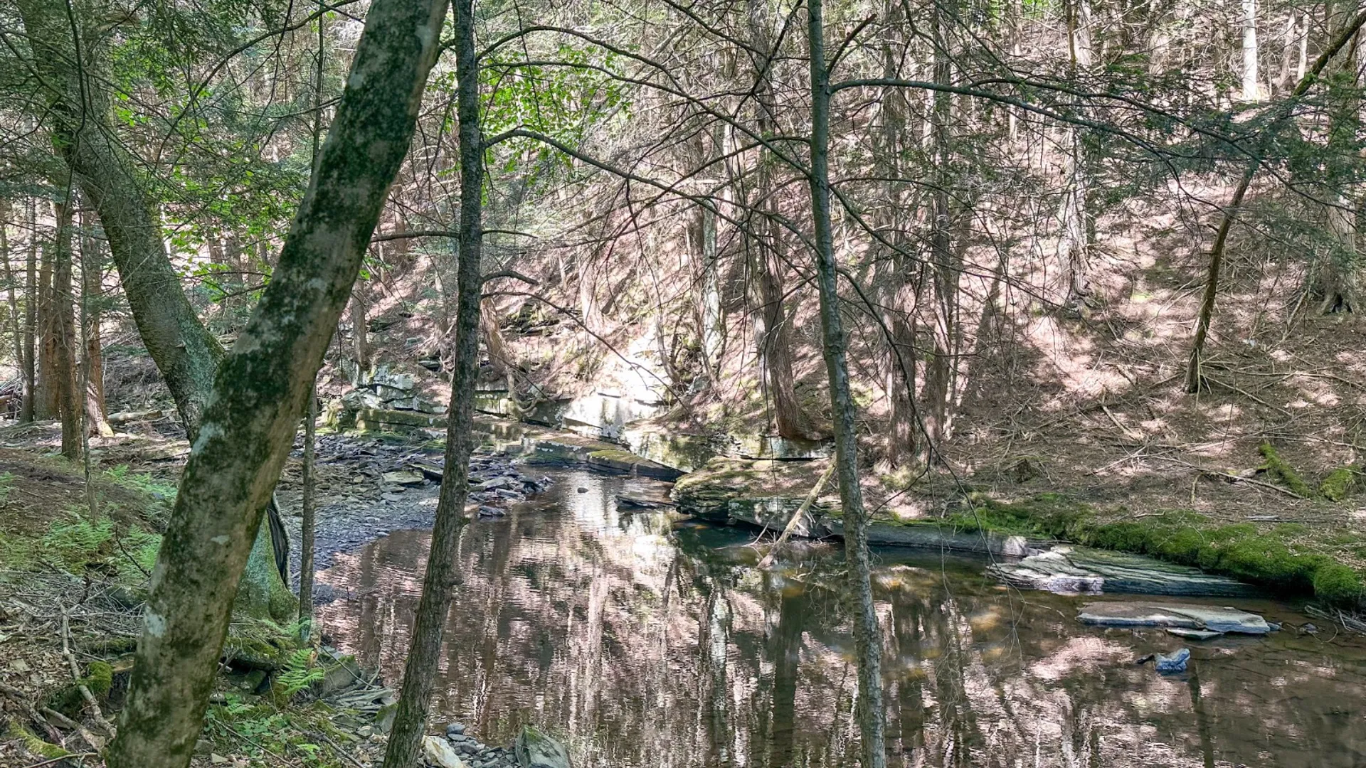 Property at 1040 NYS Route 41, Deposit, NY 13754 17