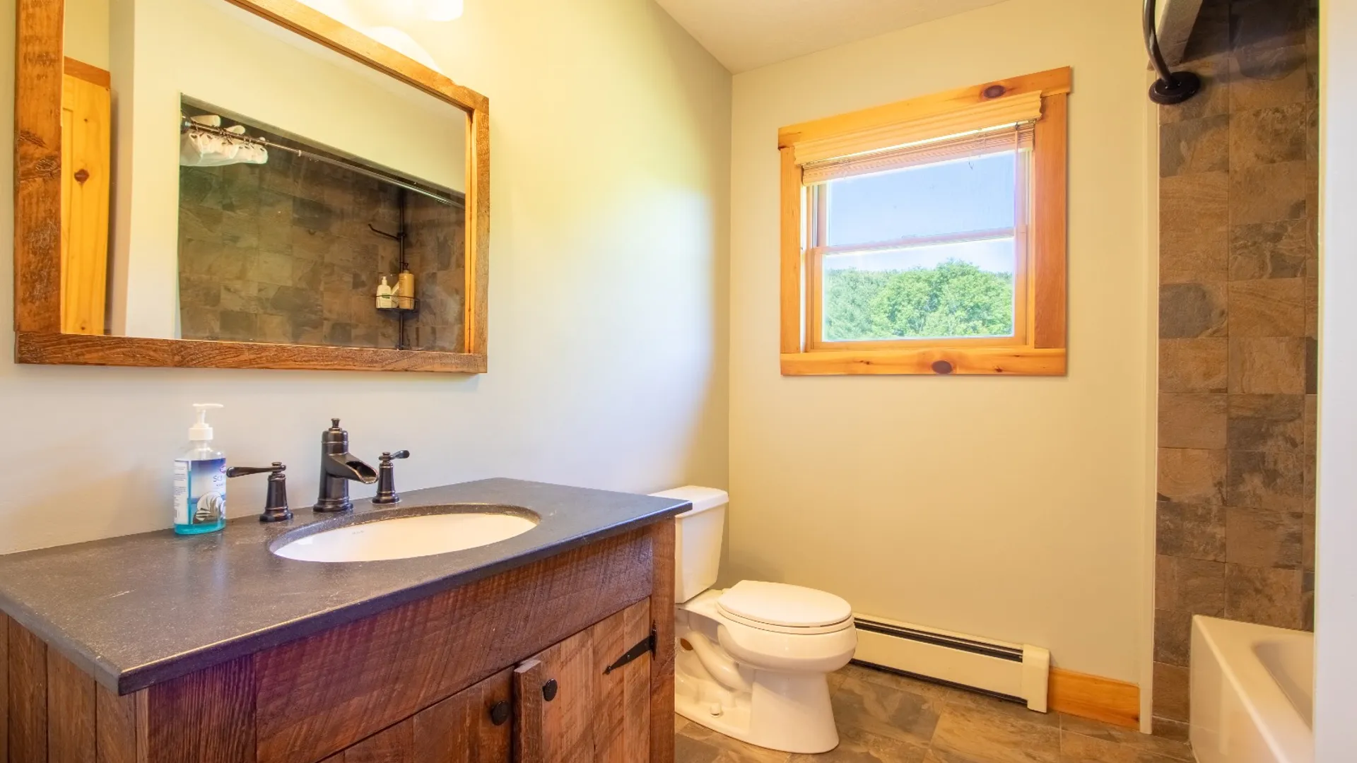 Property at 1040 NYS Route 41, Deposit, NY 13754 25