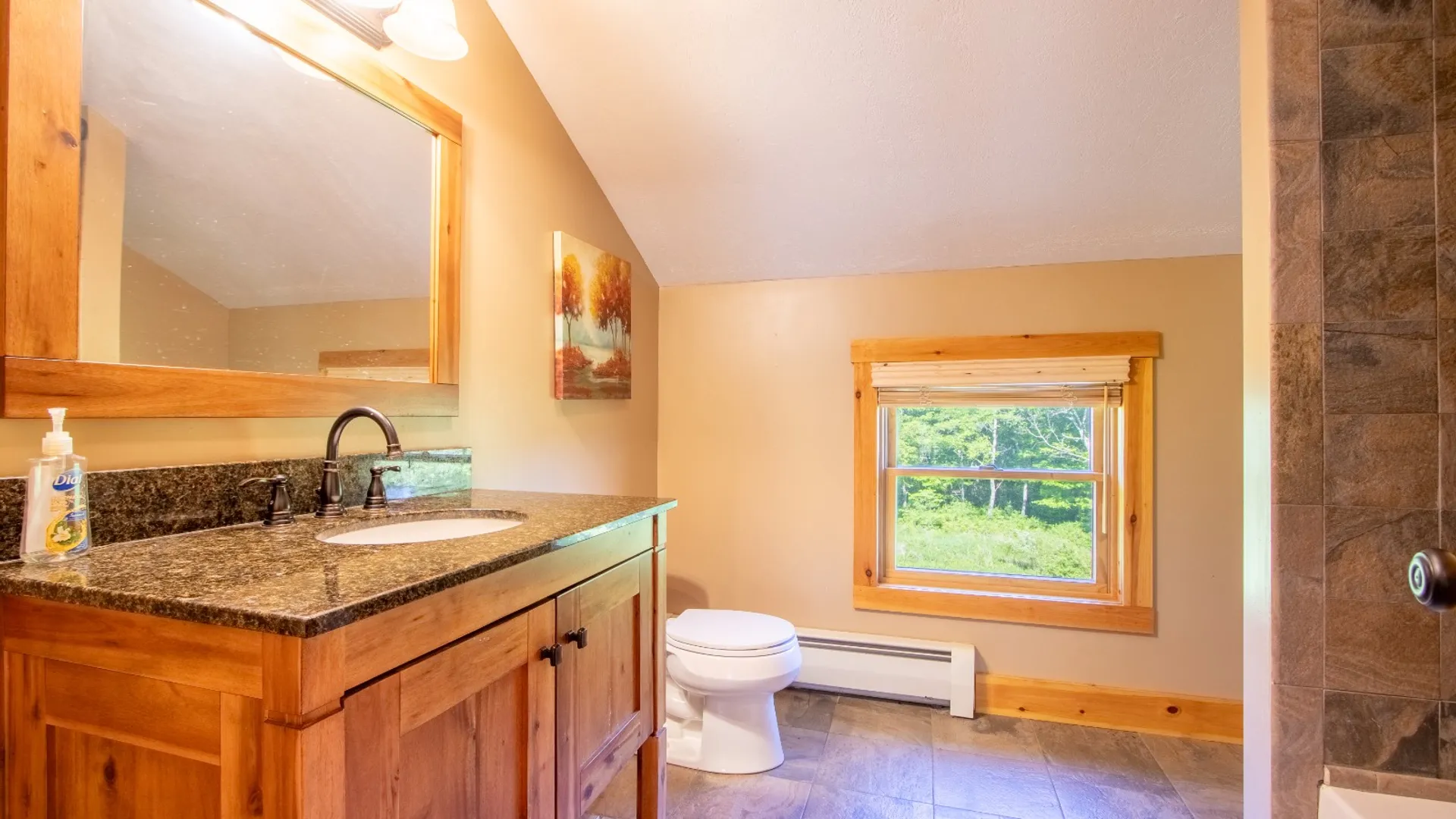Property at 1040 NYS Route 41, Deposit, NY 13754 28