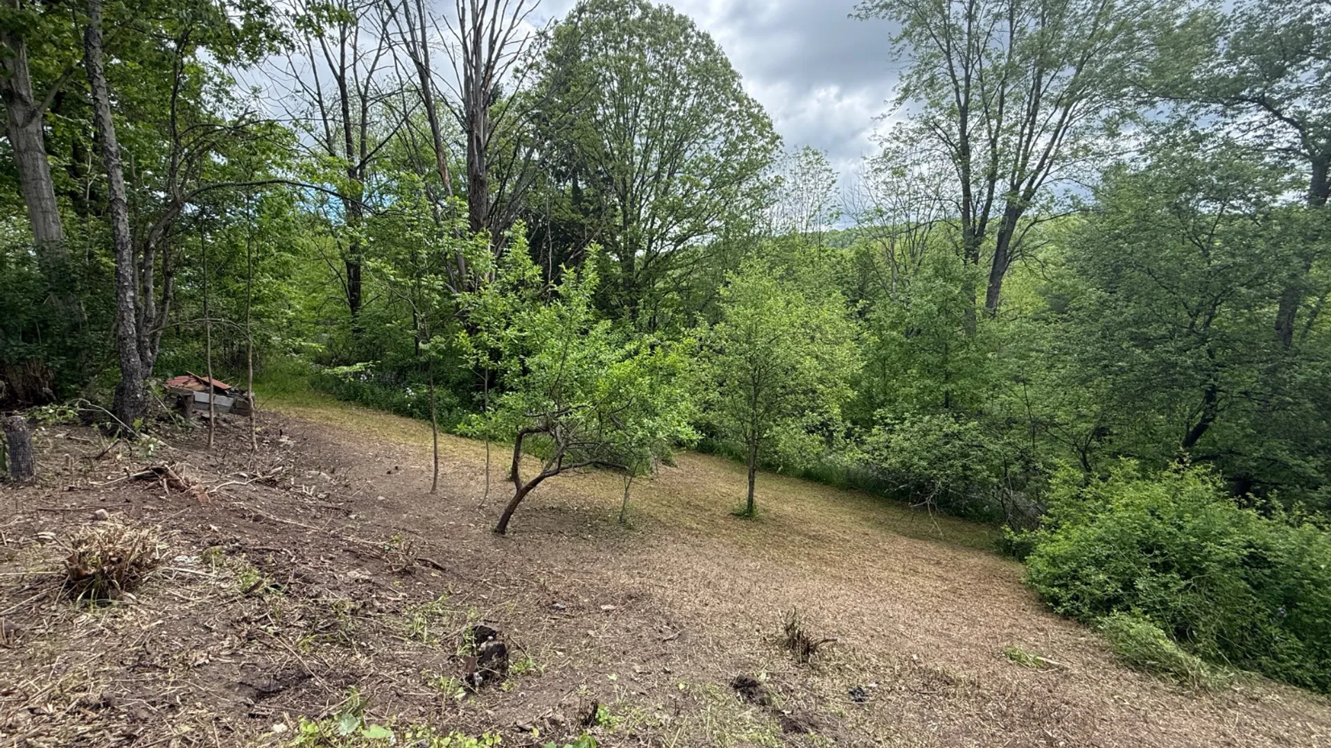 Property at 306 Colesville Rd, Binghamton, NY 13904 22