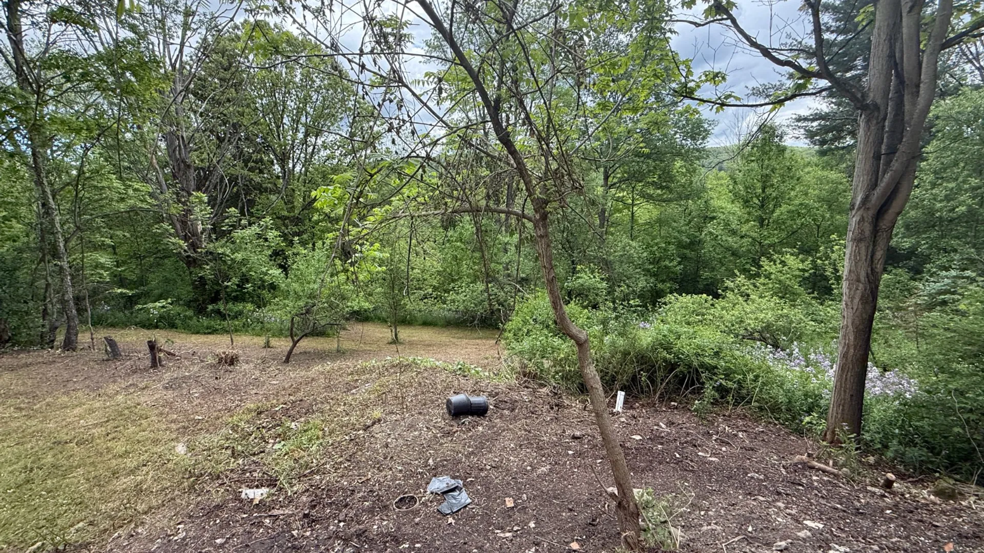 Property at 306 Colesville Rd, Binghamton, NY 13904 24