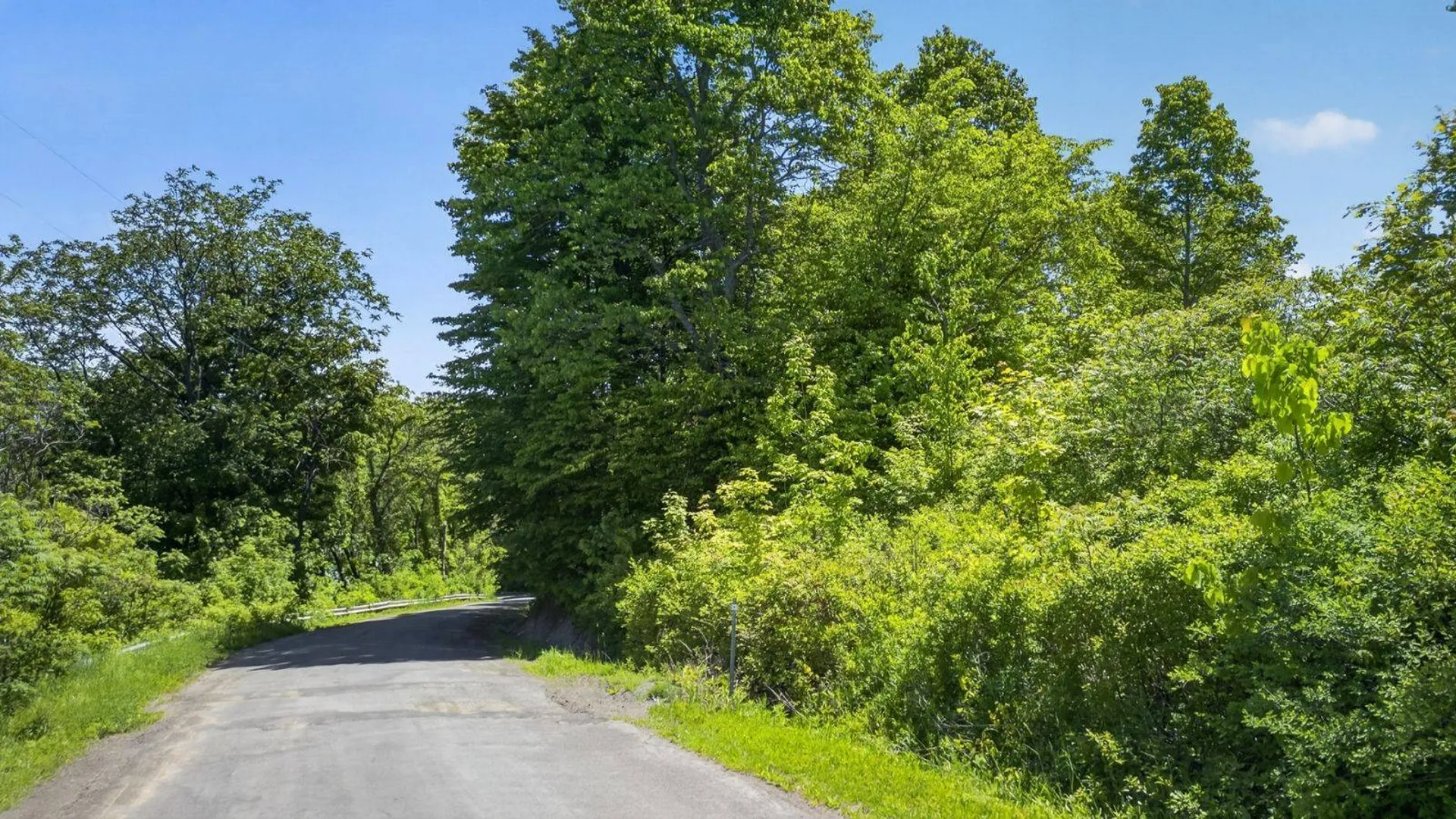 Property at L2.01 Willie Oneil Rd, Cherry Valley, NY 13320 13