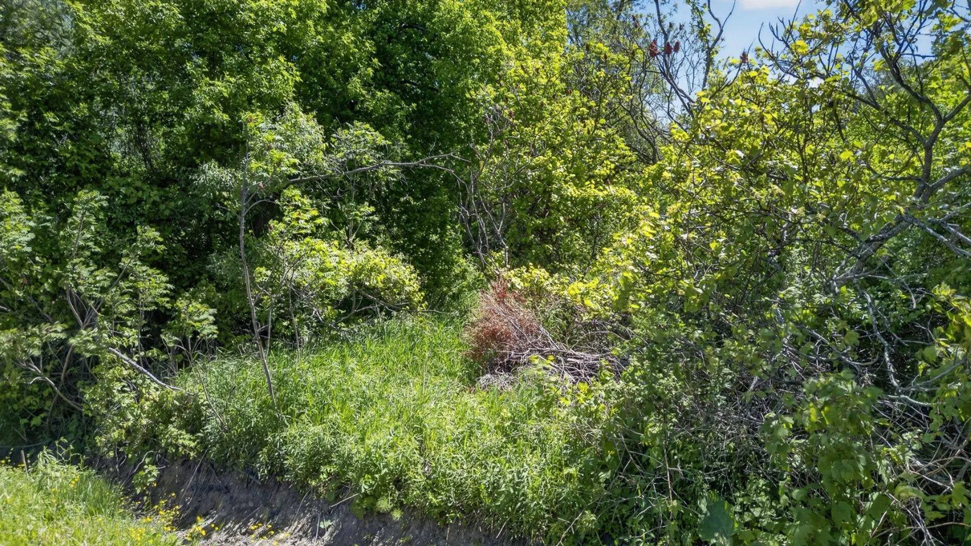 Property at L2.01 Willie Oneil Rd, Cherry Valley, NY 13320 19