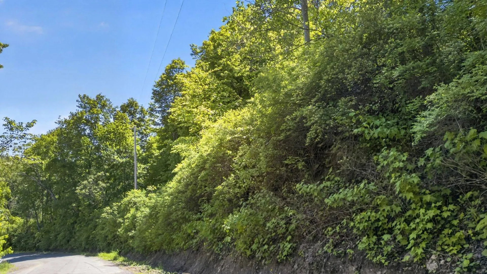 Property at L2.01 Willie Oneil Rd, Cherry Valley, NY 13320 16