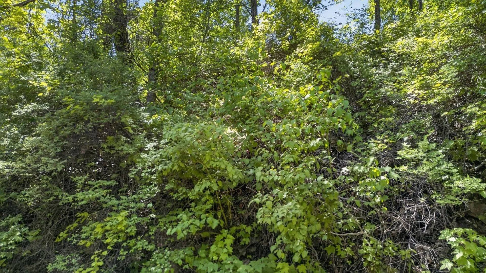 Property at L2.01 Willie Oneil Rd, Cherry Valley, NY 13320 21