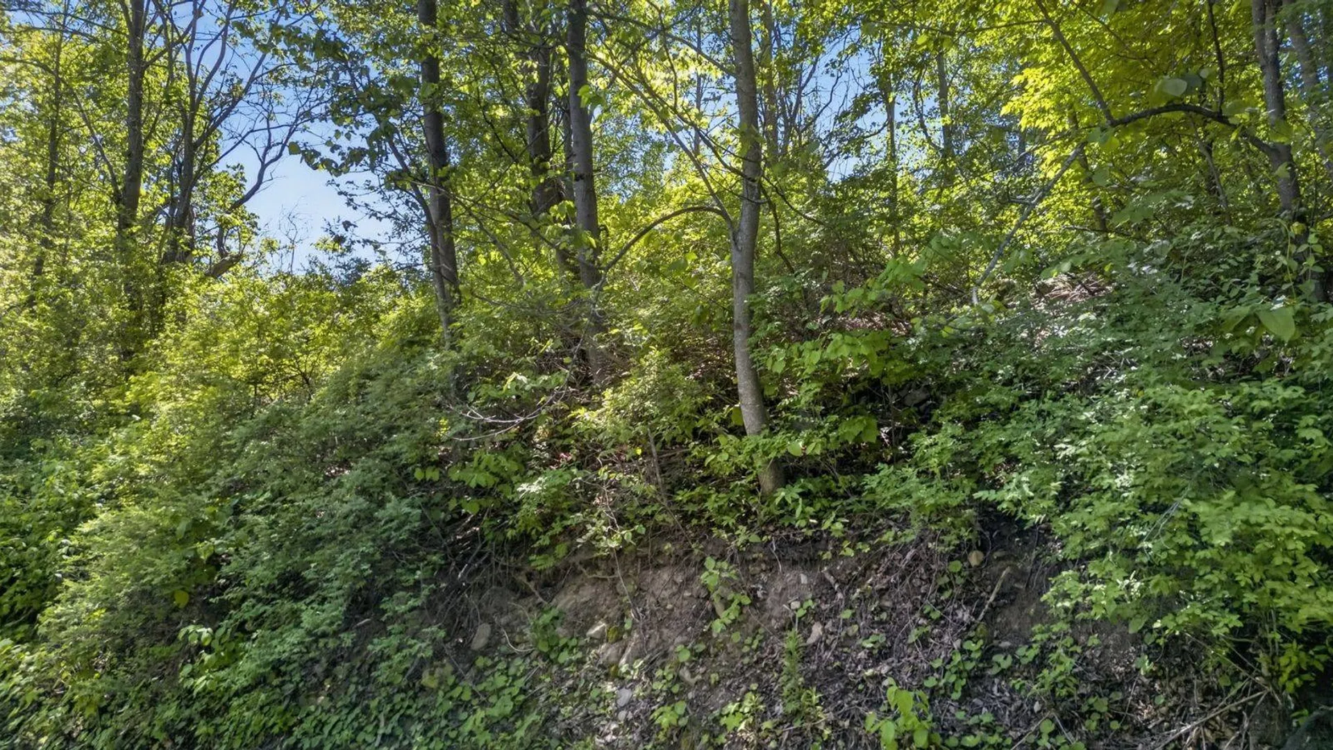 Property at L2.01 Willie Oneil Rd, Cherry Valley, NY 13320 22