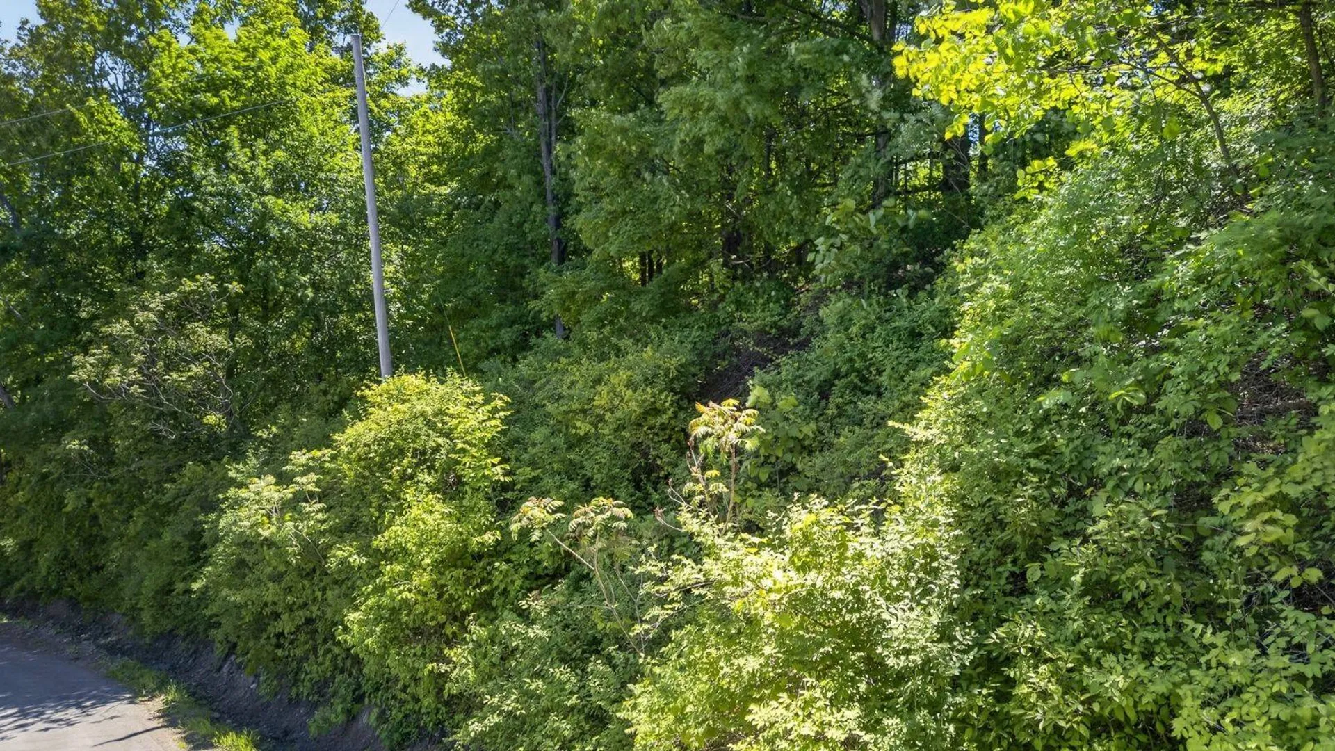 Property at L2.01 Willie Oneil Rd, Cherry Valley, NY 13320 20