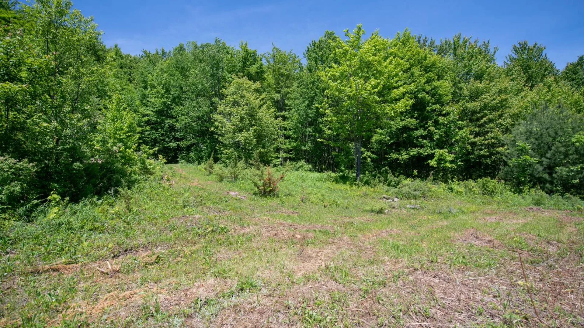 Property at 1718 Doe Brook Rd, Hamden, NY 13782 3