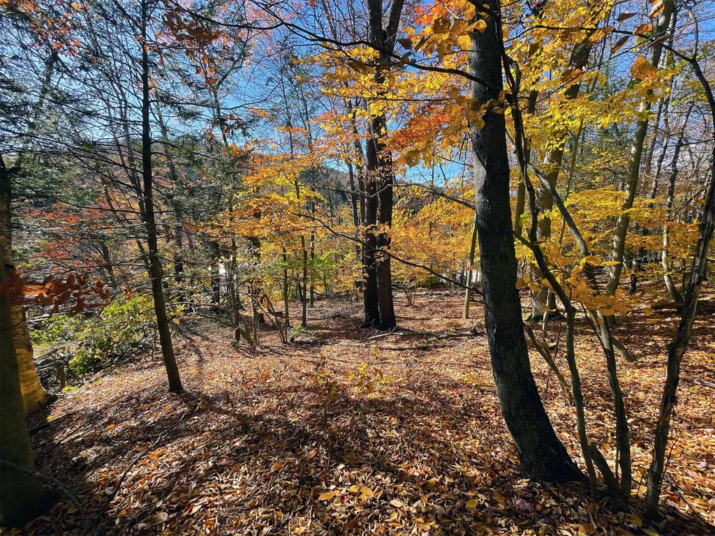 Property at # Overlook Rd, Woodbourne, NY 12788