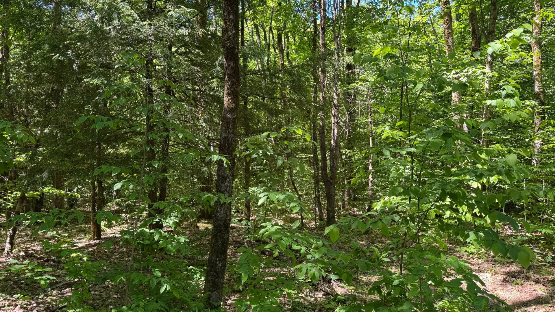 Property at 9 Maple Landing Rd, Altmar, NY 13302 23