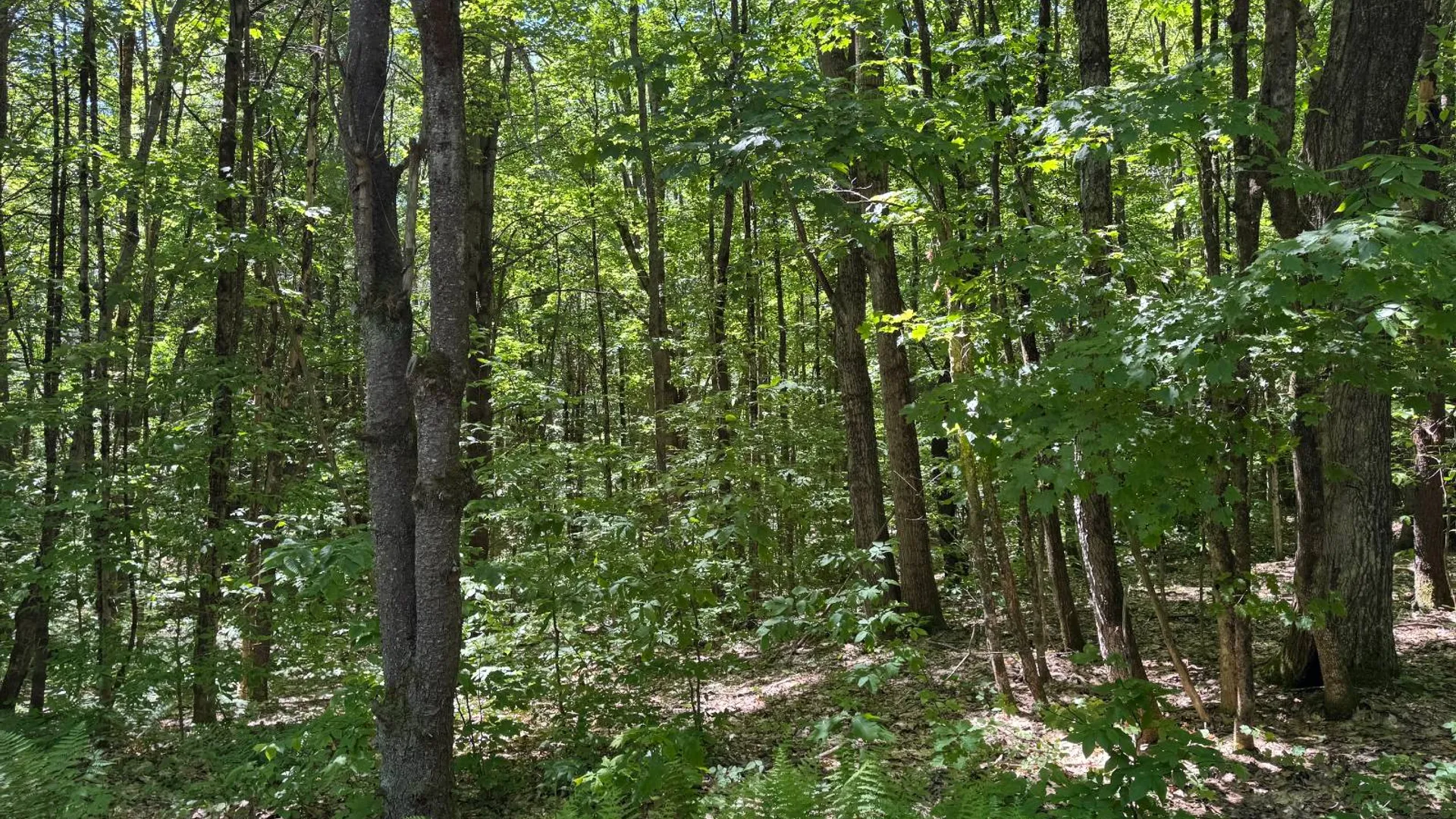 Property at 9 Maple Landing Rd, Altmar, NY 13302 31