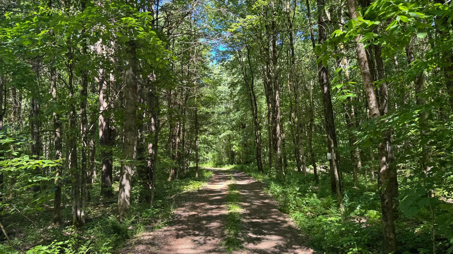 Property at 9 Maple Landing Rd, Altmar, NY 13302 3