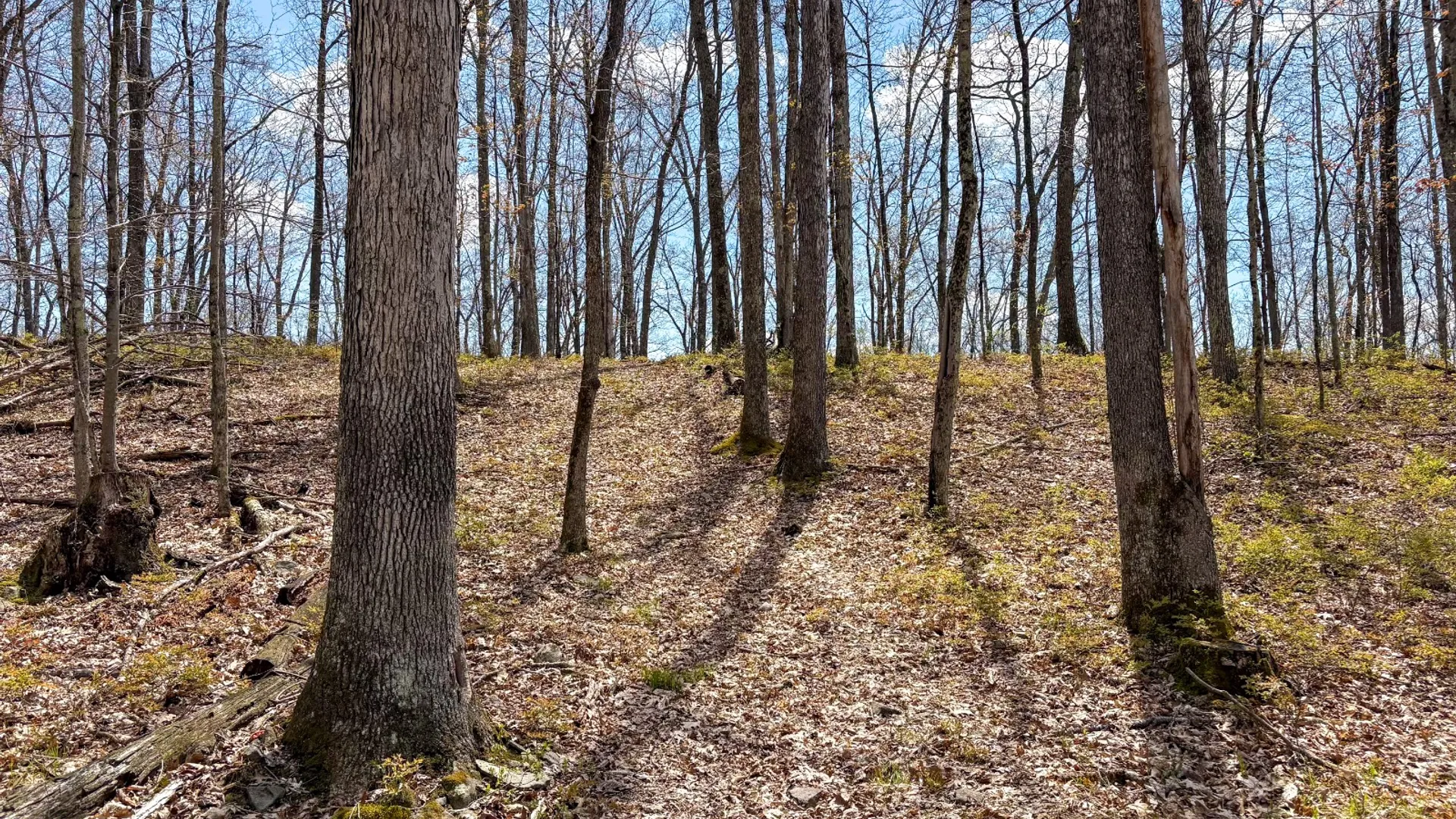 Property at 0 Warren Rd, Hancock, NY 13783 28