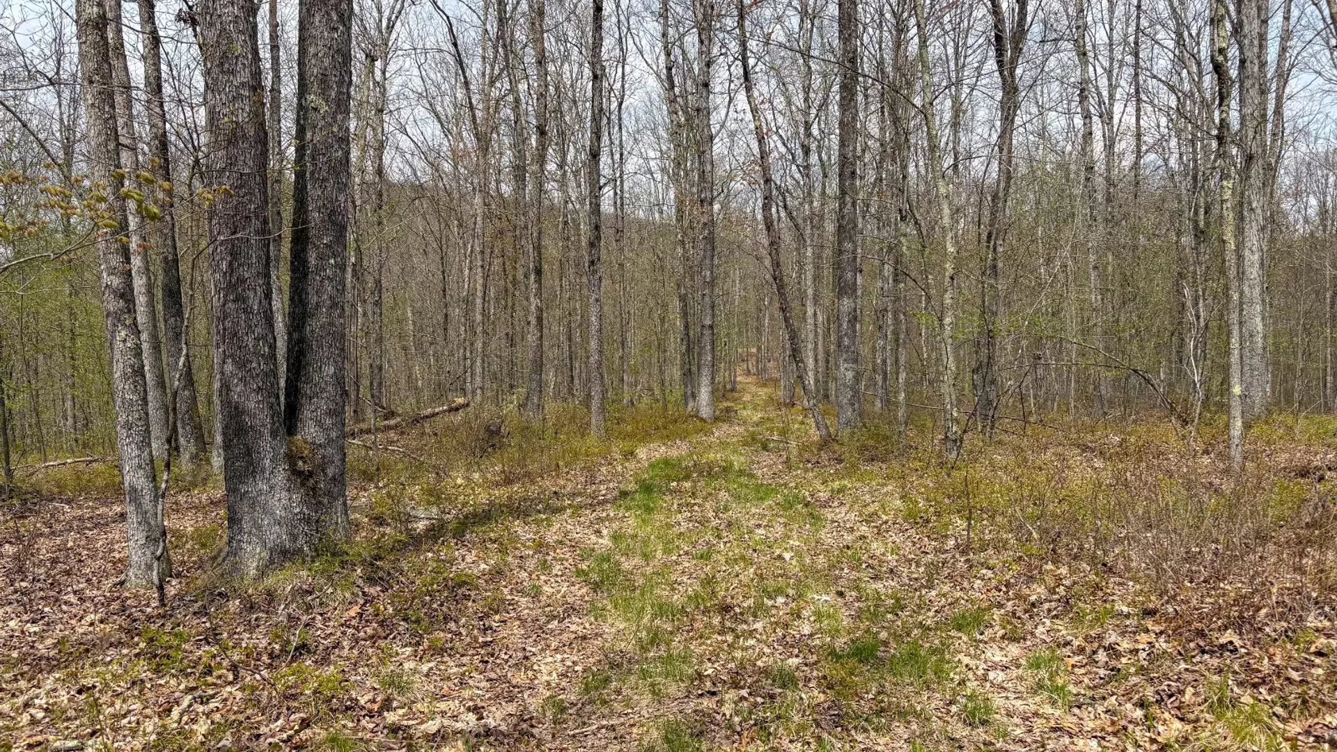 Property at 0 Warren Rd, Hancock, NY 13783 42