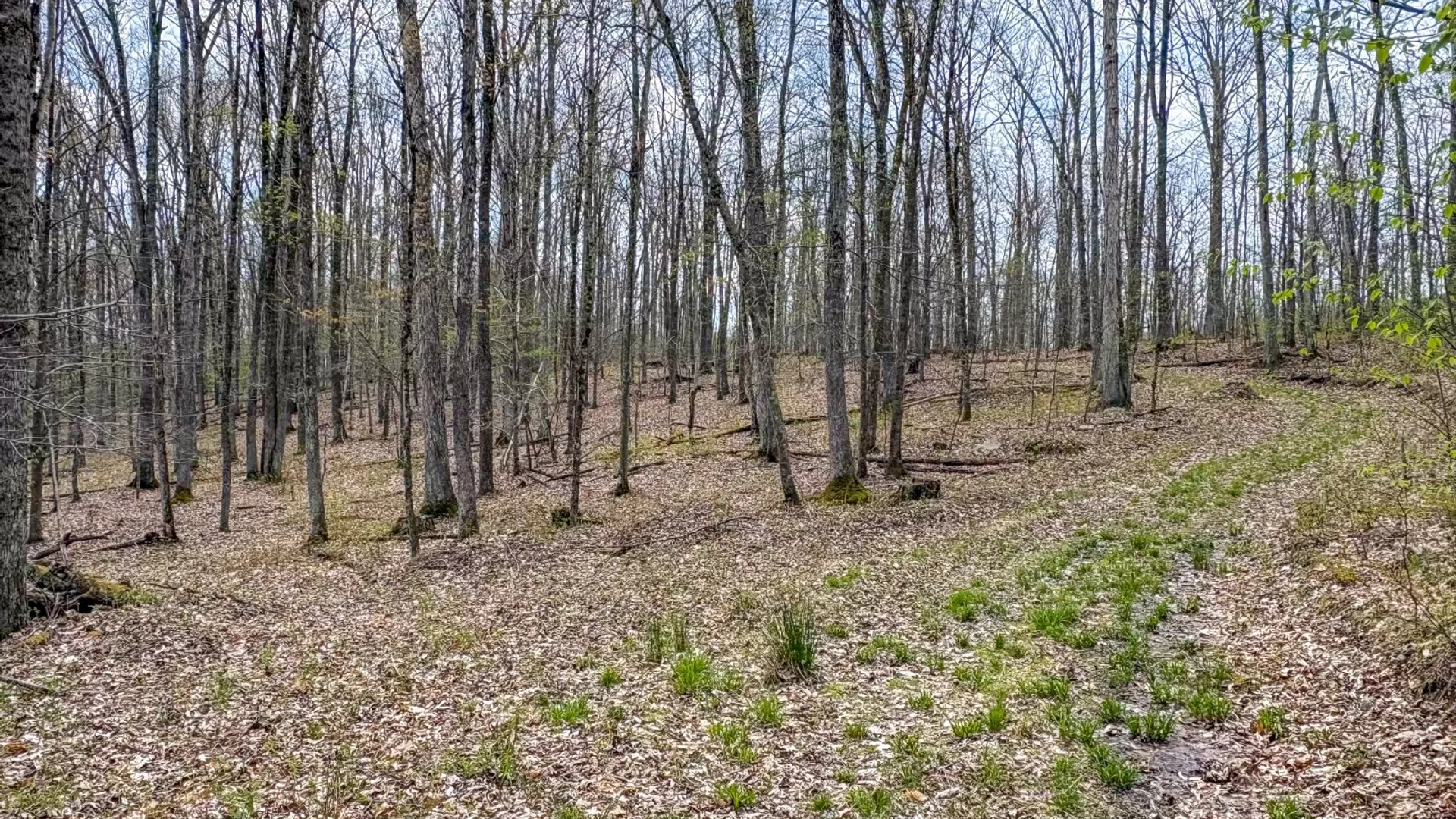 Property at 0 Warren Rd, Hancock, NY 13783 43