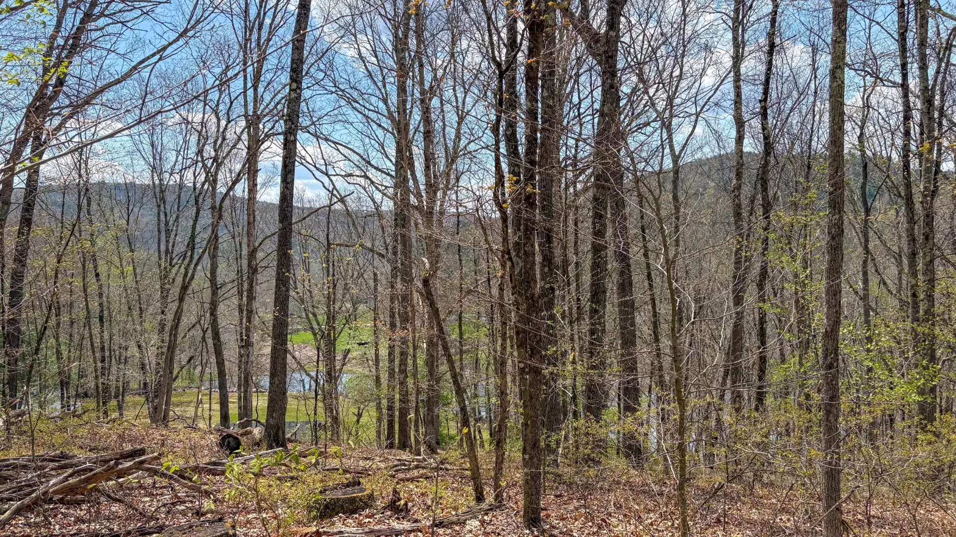 Property at 0 Warren Rd, Hancock, NY 13783 29