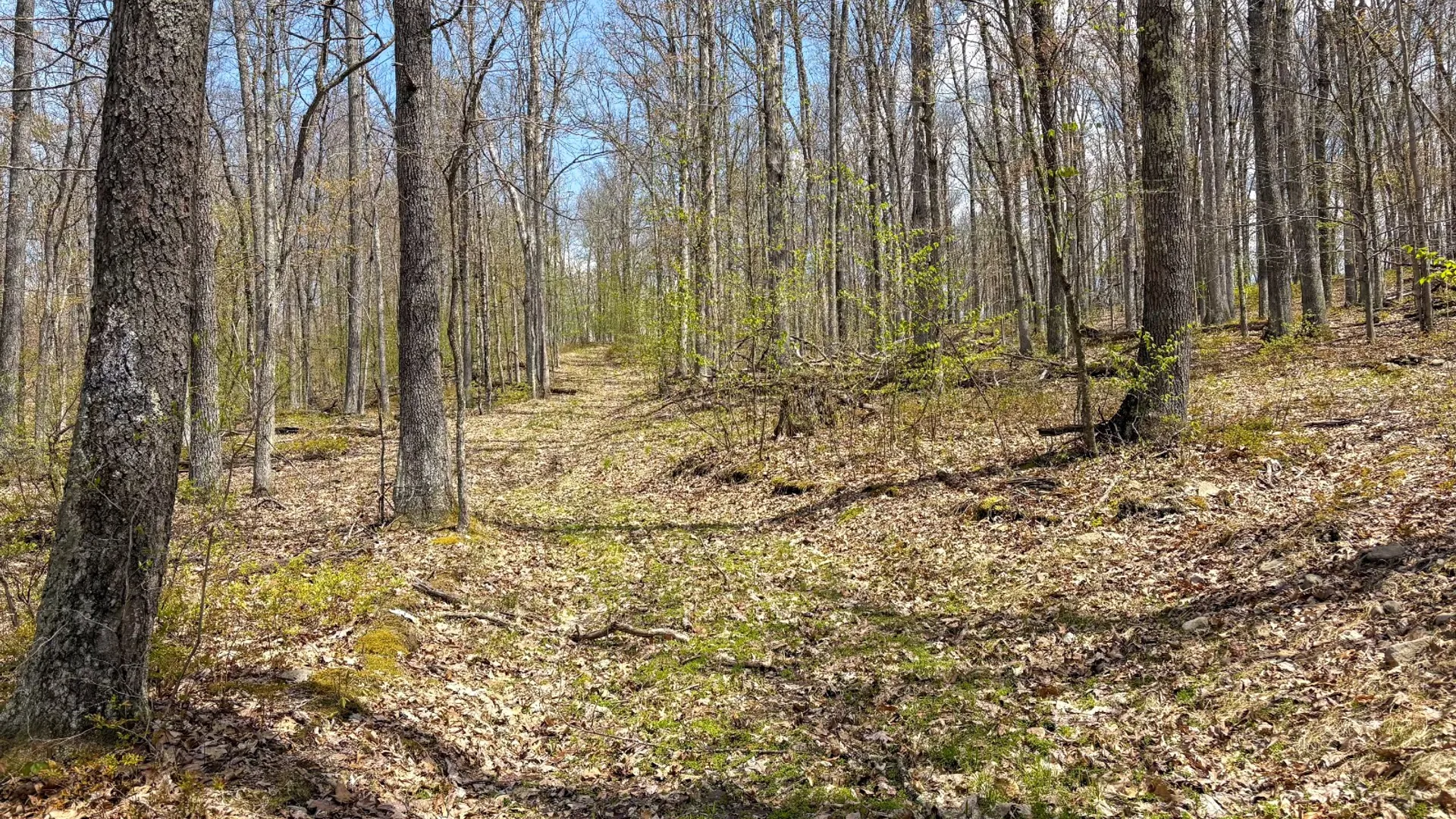 Property at 0 Warren Rd, Hancock, NY 13783 44