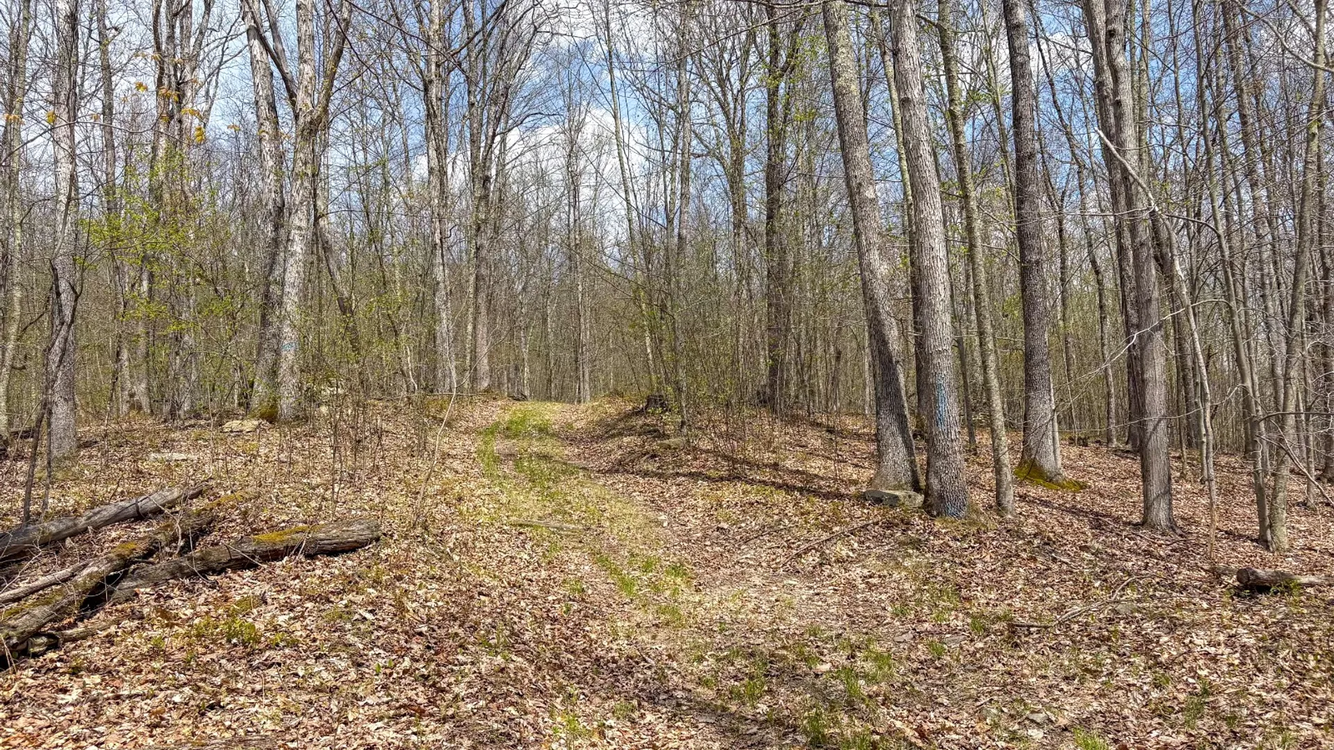 Property at 0 Warren Rd, Hancock, NY 13783 45