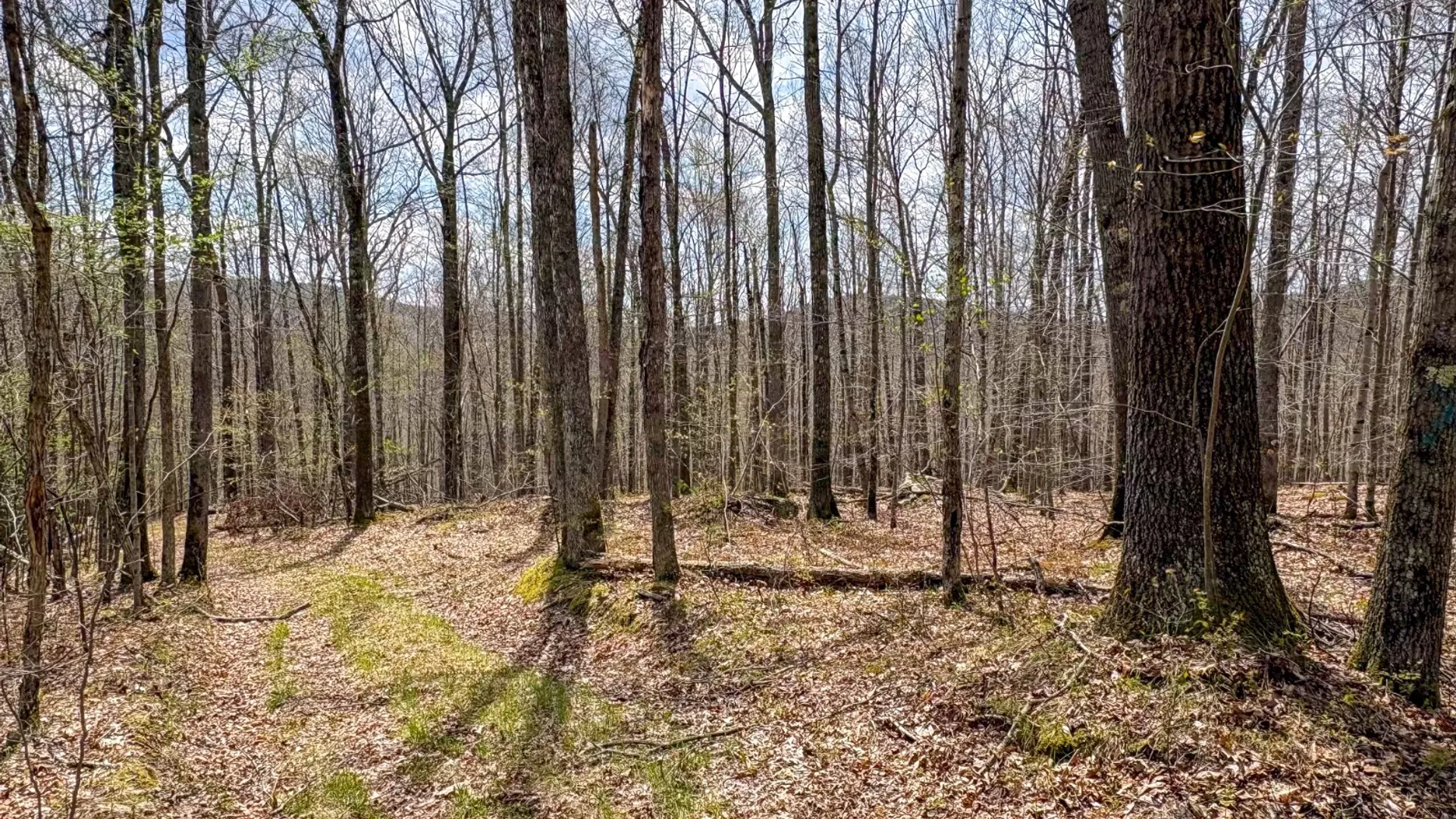 Property at 0 Warren Rd, Hancock, NY 13783 46
