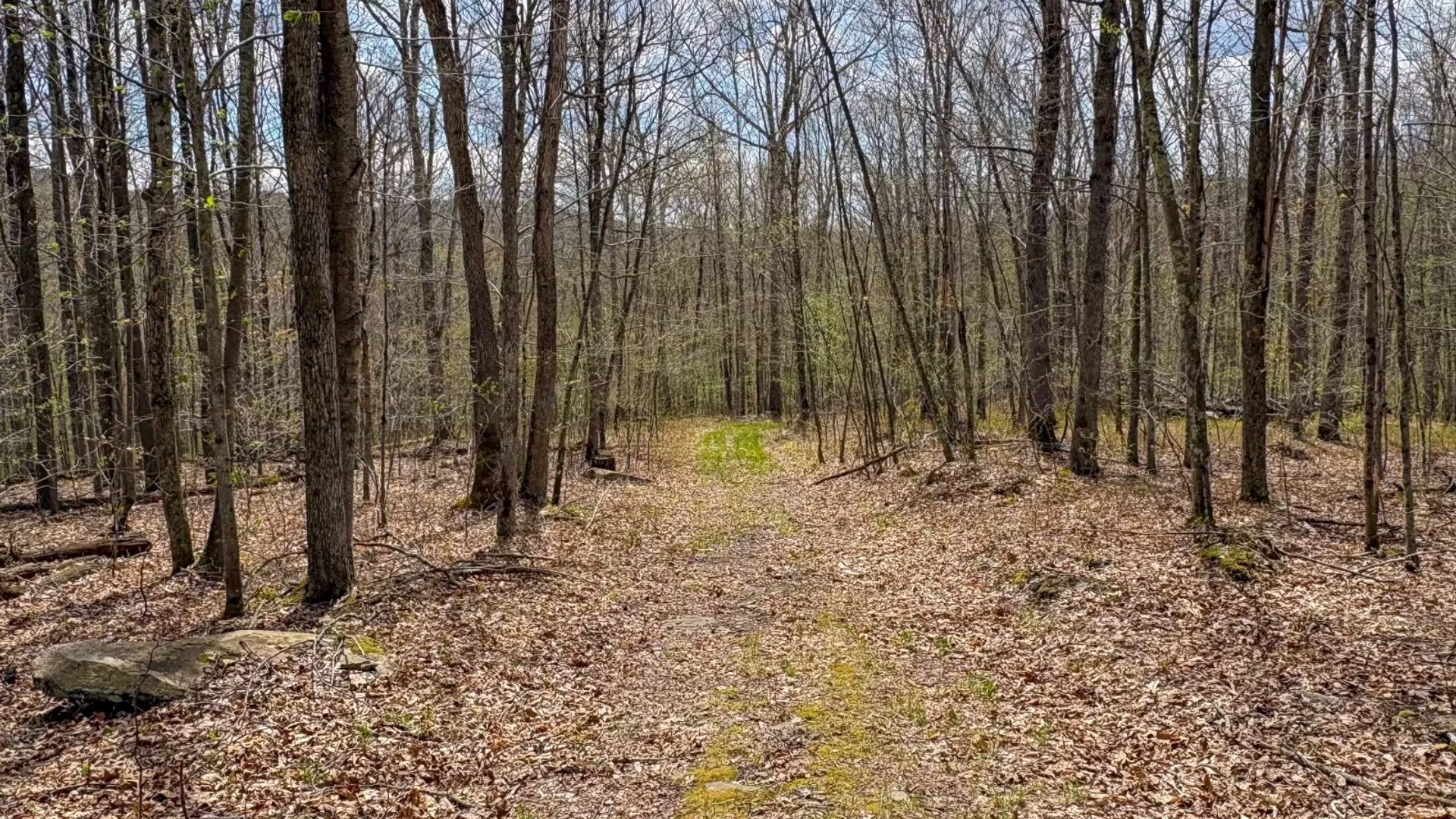Property at 0 Warren Rd, Hancock, NY 13783 47