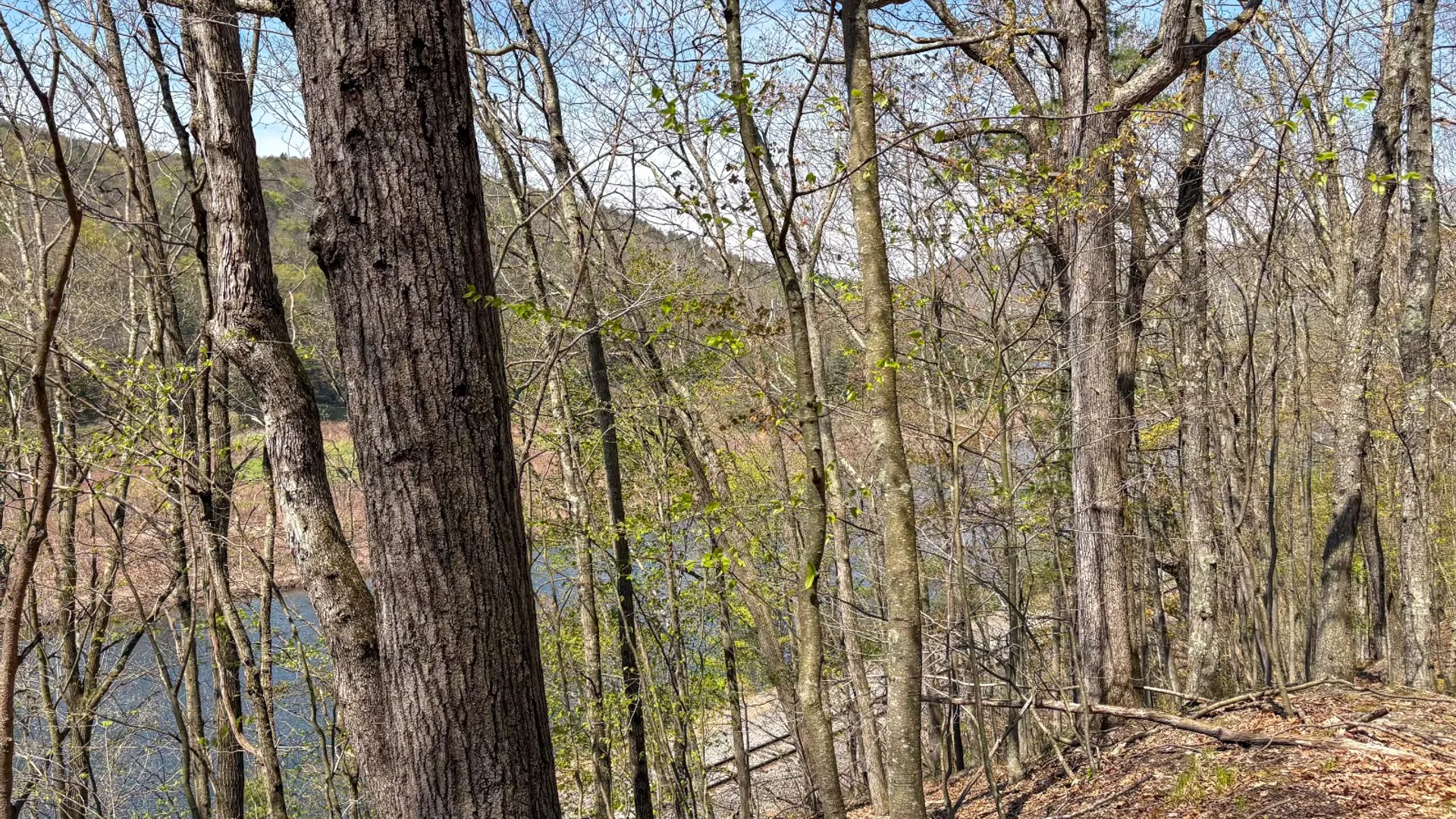 Property at 0 Warren Rd, Hancock, NY 13783 21