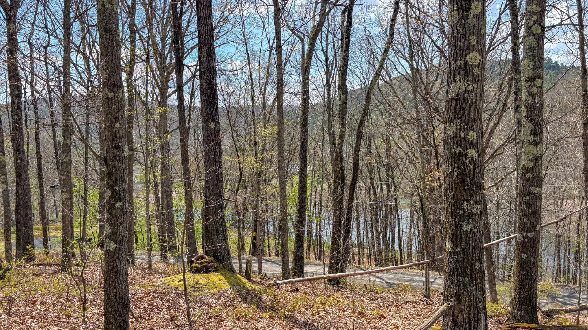 Property at 0 Warren Rd, Hancock, NY 13783 18