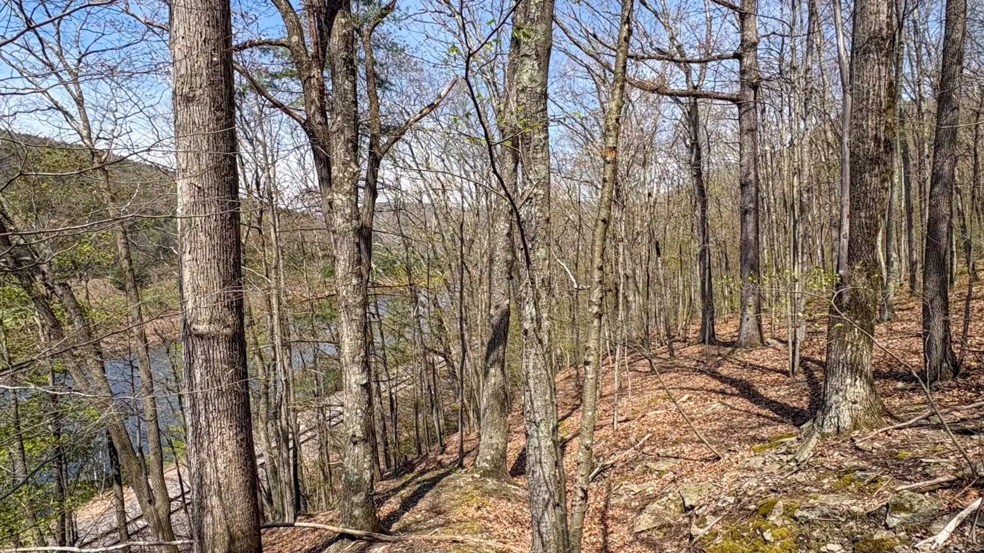 Property at 0 Warren Rd, Hancock, NY 13783 20
