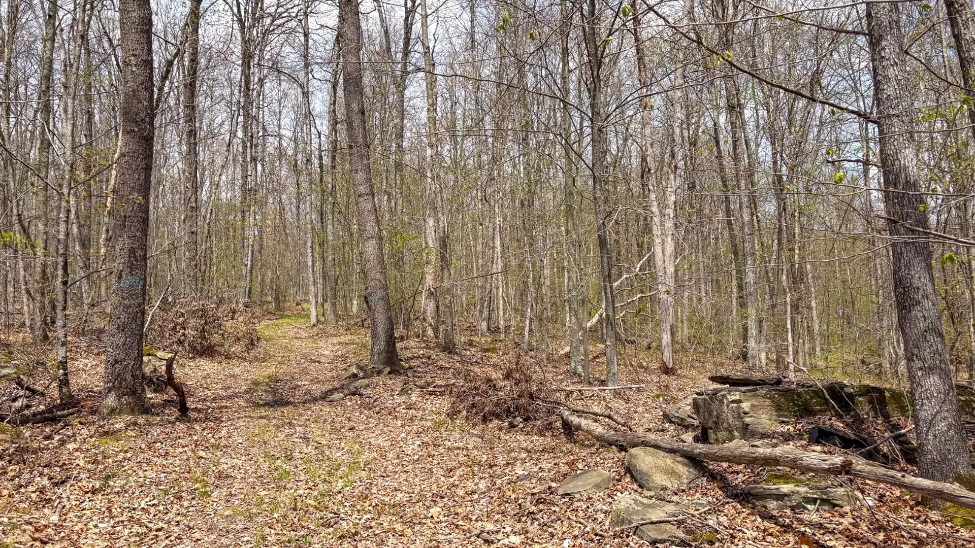 Property at 0 Warren Rd, Hancock, NY 13783 48